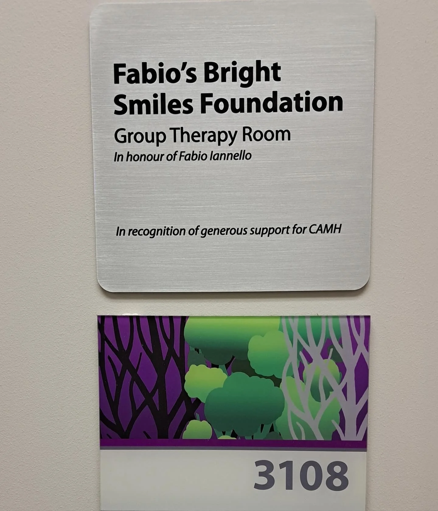 A plaque on a wall reads 'Fabio's Bright Smiles Foundation, Group Therapy Room, In honour of Fabio Iannello, In recognition of generous support for CAMH.' Below the plaque is a room number sign with the number 3108 and colorful artwork featuring trees.