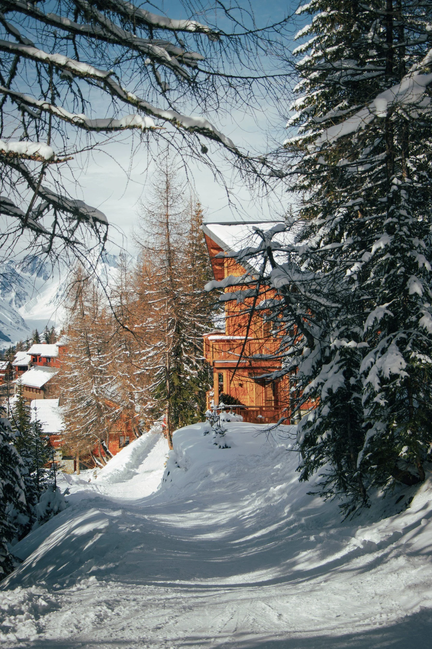 Snow-covered pathway leading to wooden chalet among pine and deciduous trees in a snowy mountain landscape.