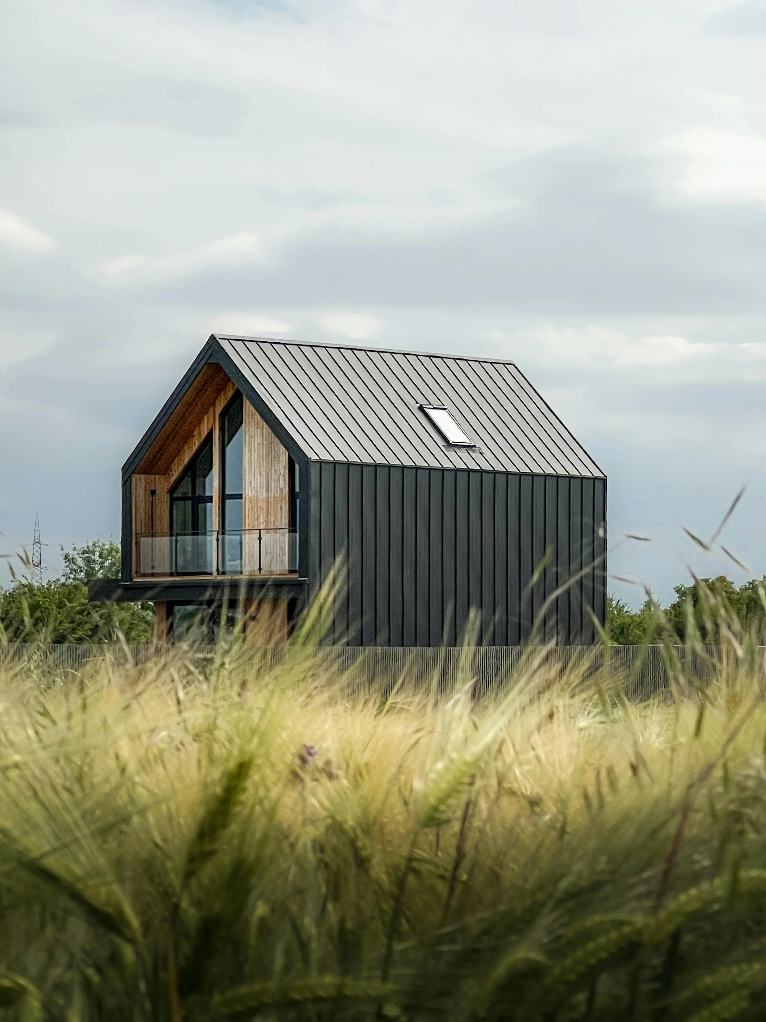 A modern black house with a wood accent on the front, a glass balcony, and a skylight on the metal roof, situated in a grassy field under a cloudy sky.