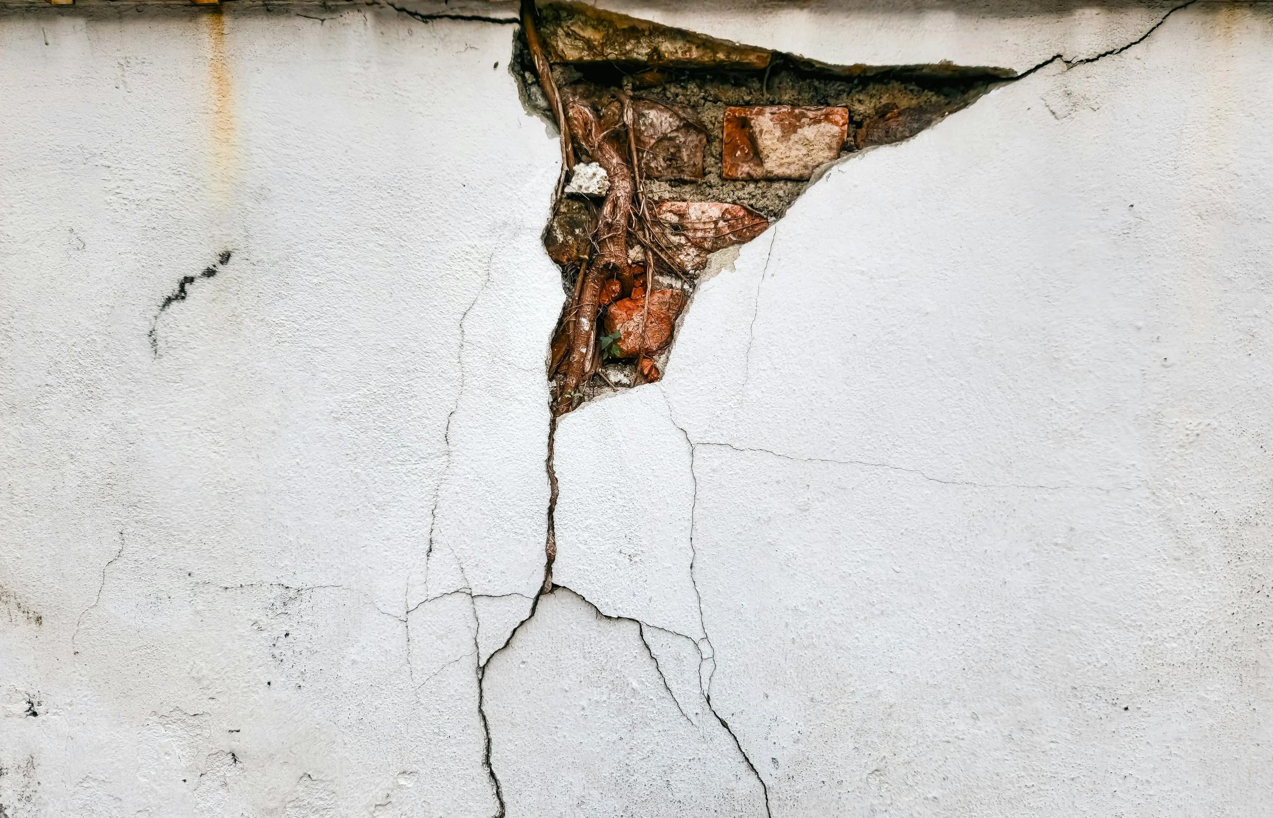 Wall with a large crack and a section where the plaster has fallen off, exposing bricks and roots inside.