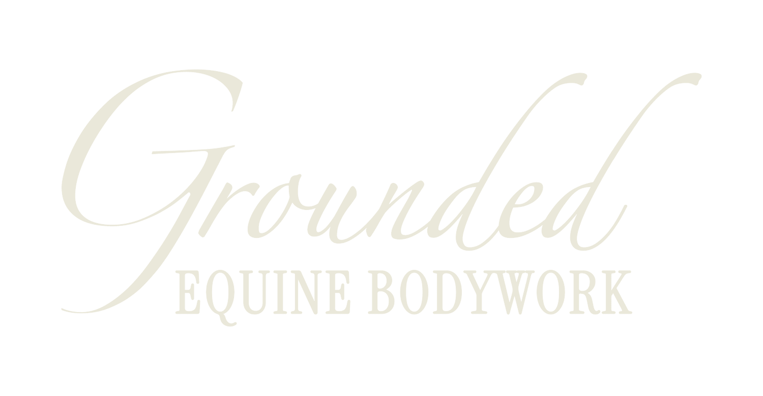 The Grounded Equine