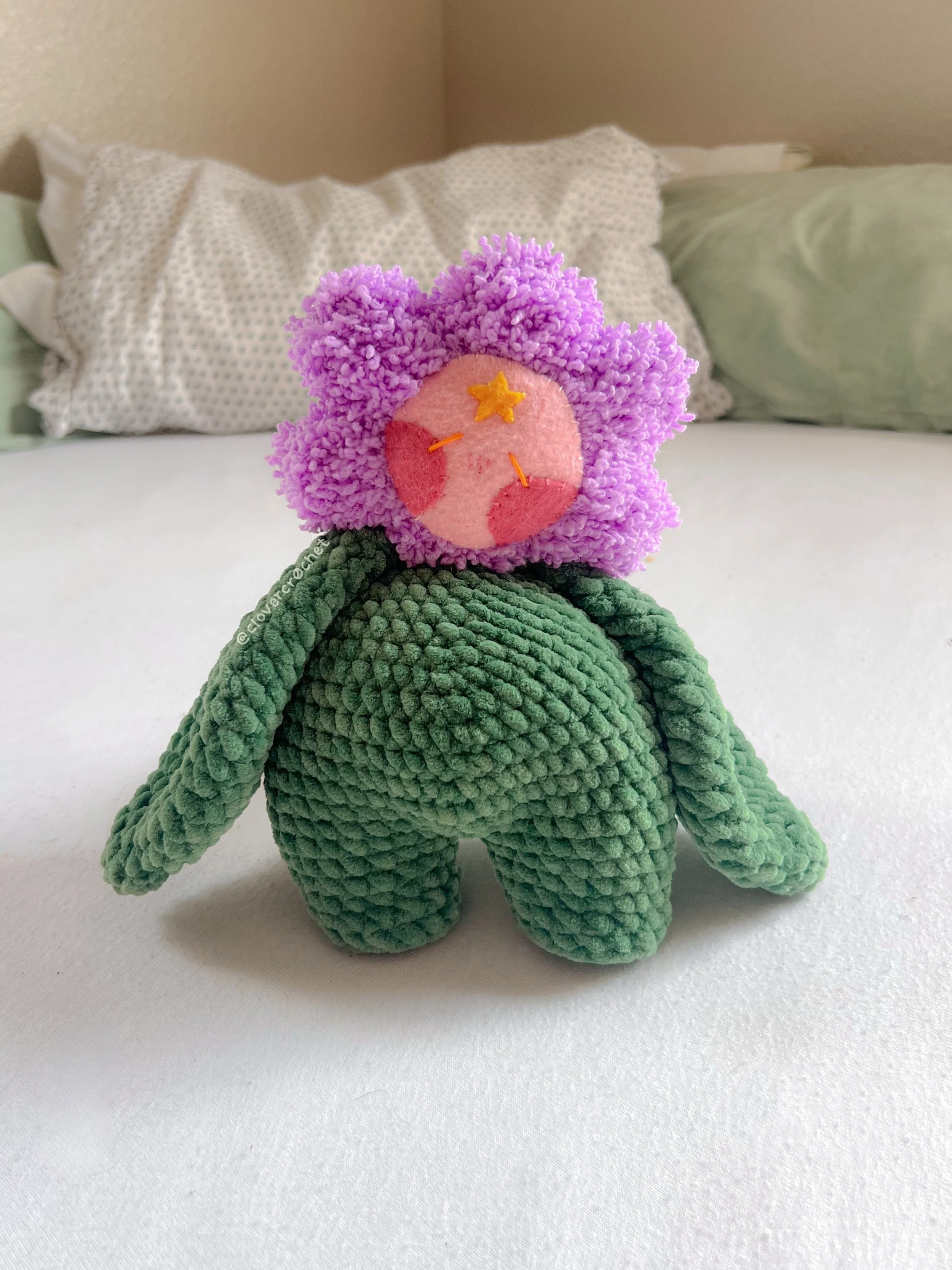 charlotte the chrysanthemum