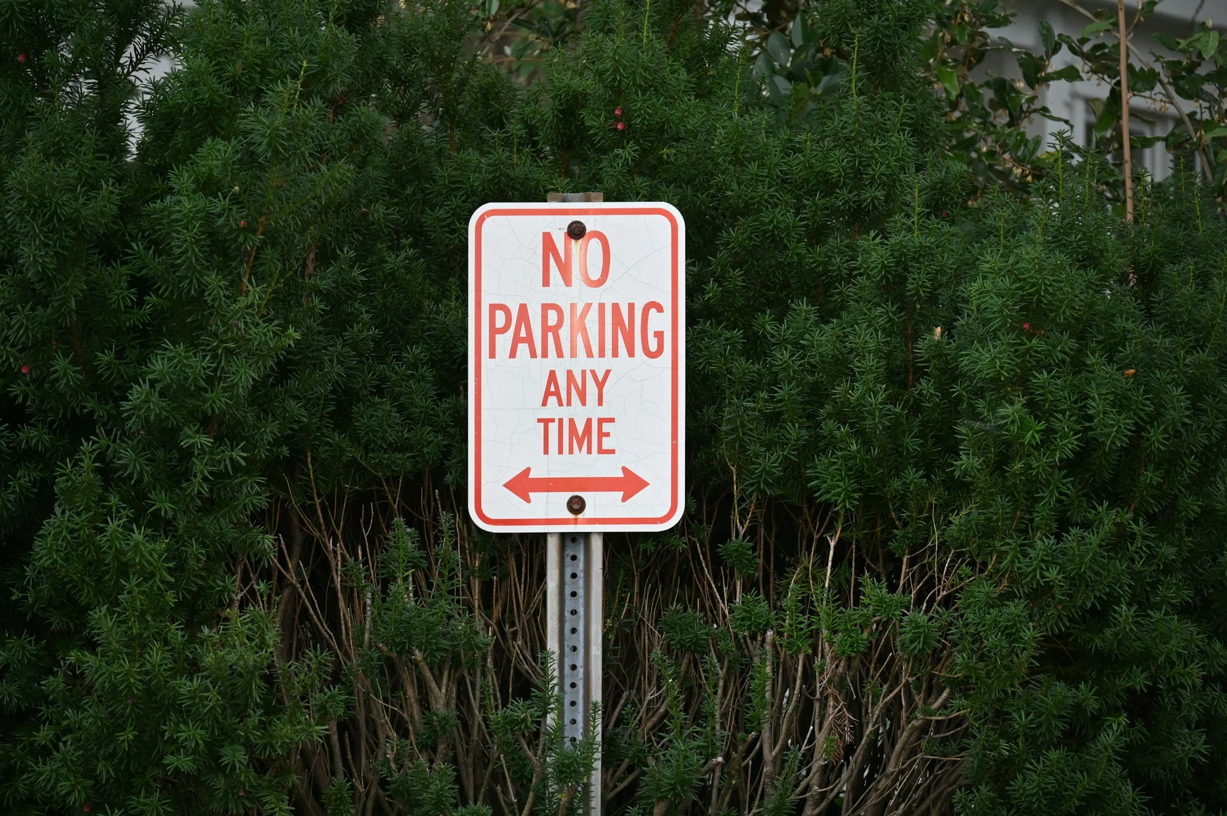A white and red 'No Parking Any Time' sign on a metal pole, with green shrubbery in the background.