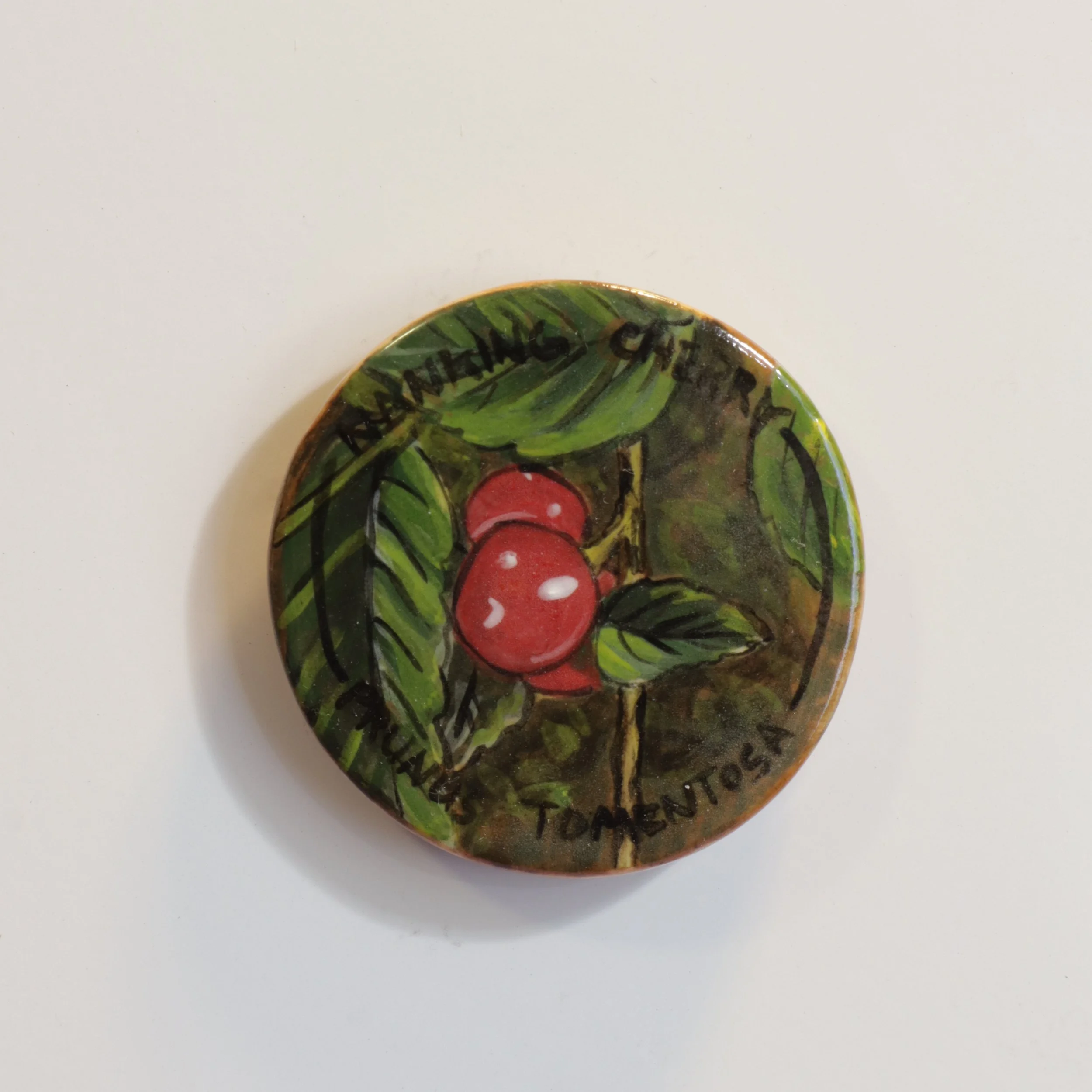 Nanking Cherry/Prunus Tomentosa – Foraging of Colorado – Magnet