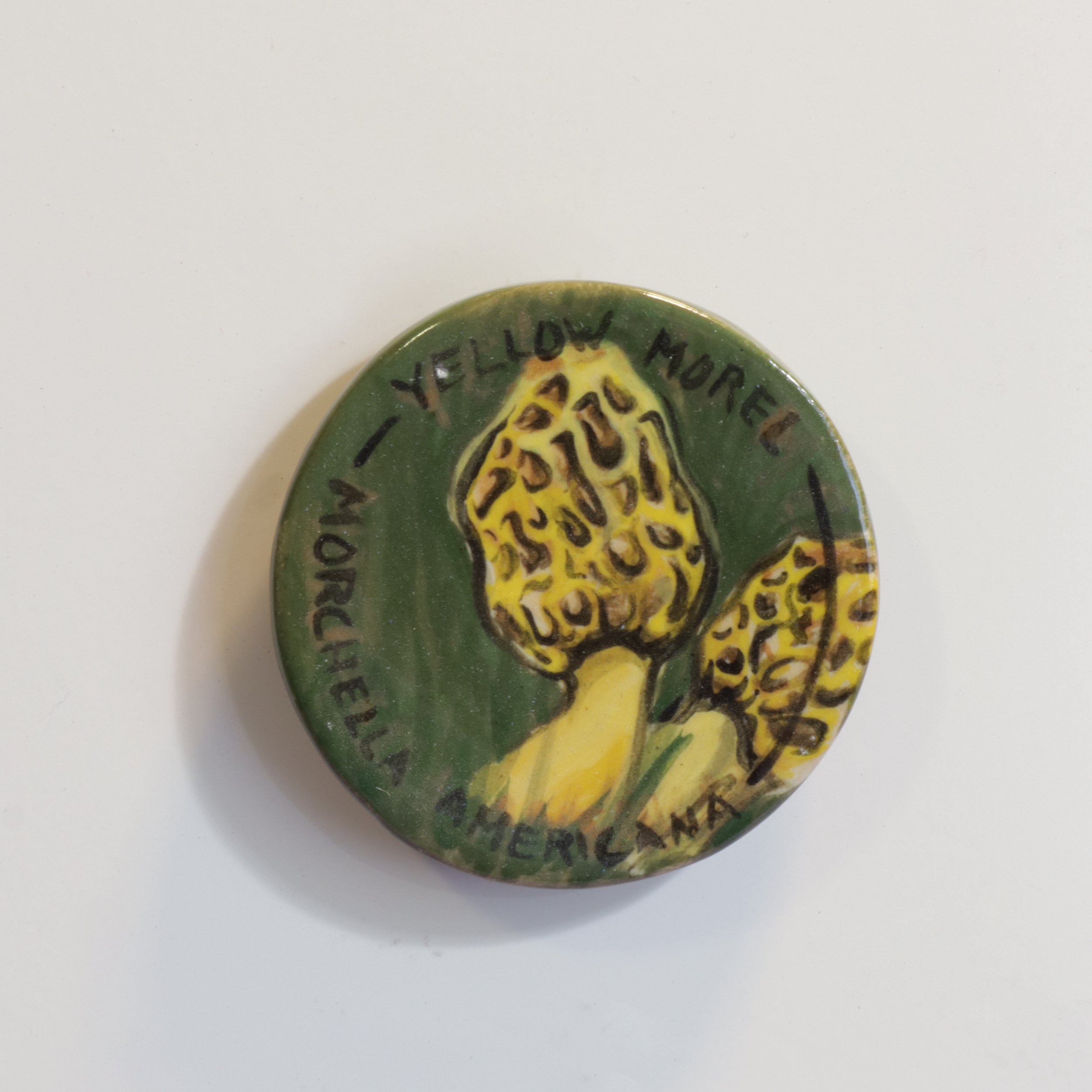 Yellow Morel/Morchella Americana – Foraging of Colorado – Magnet