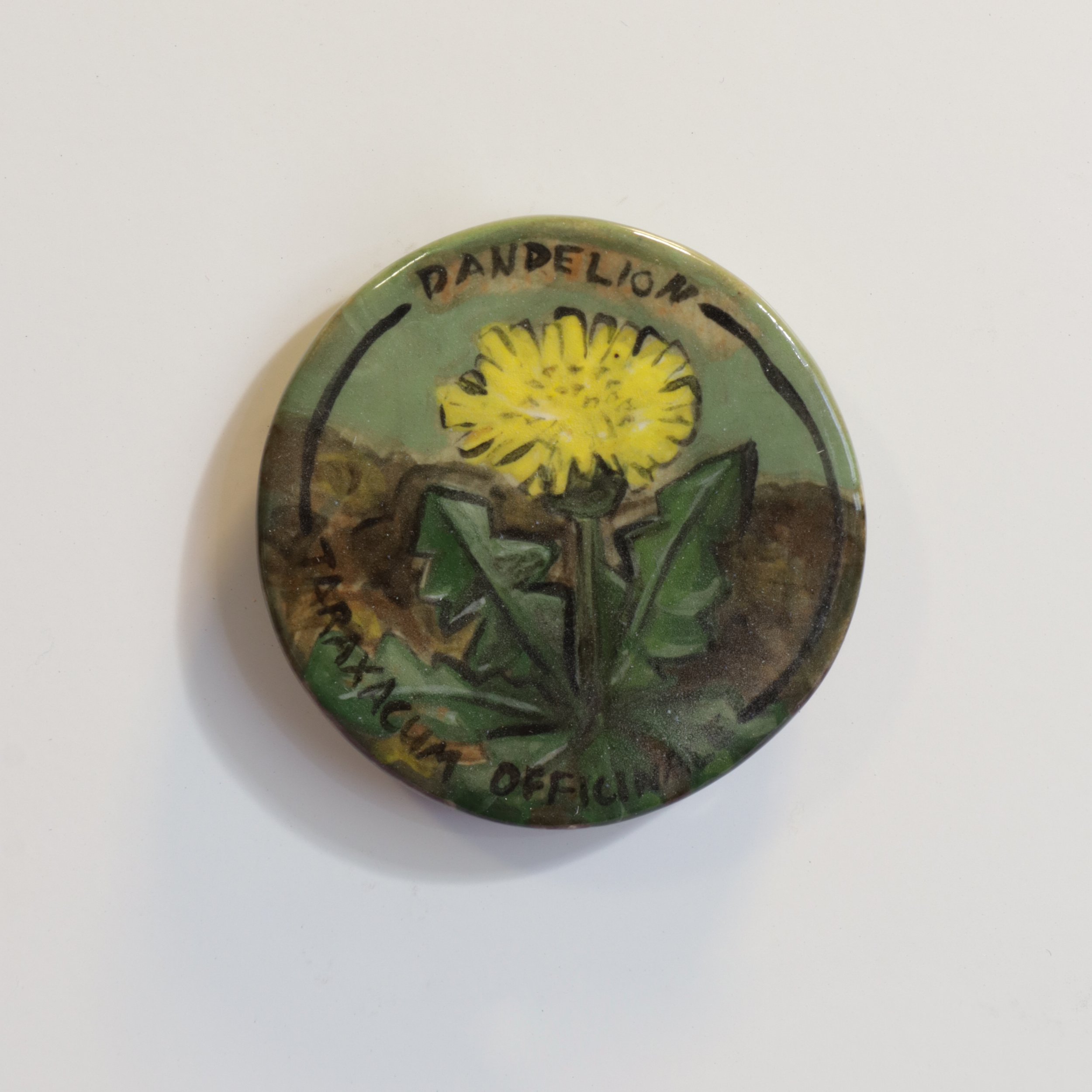 Dandelion/Taraxacum Officinal – Foraging of Colorado – Magnet