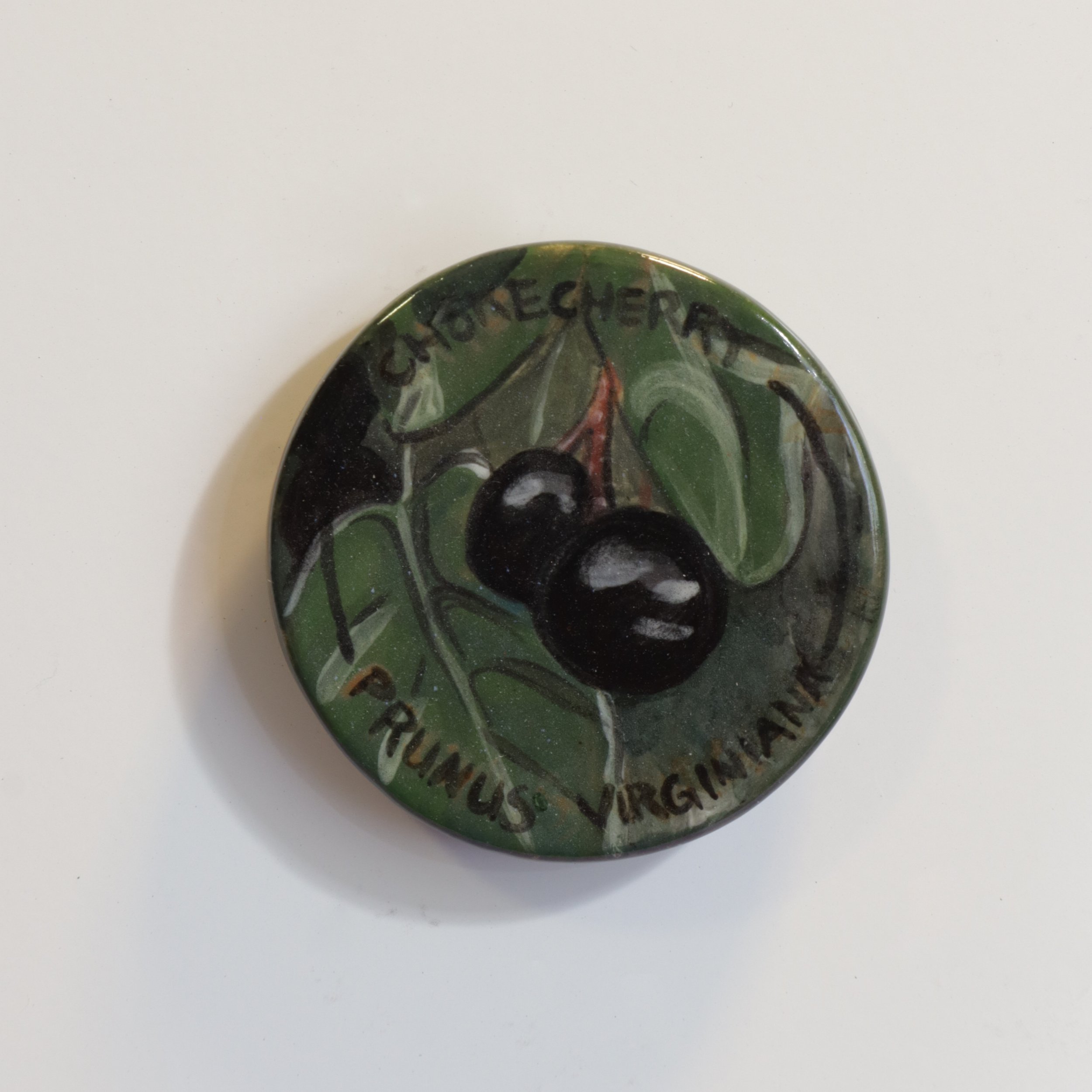 Chokecherry/Prunus Virginiana – Foraging of Colorado – Magnet