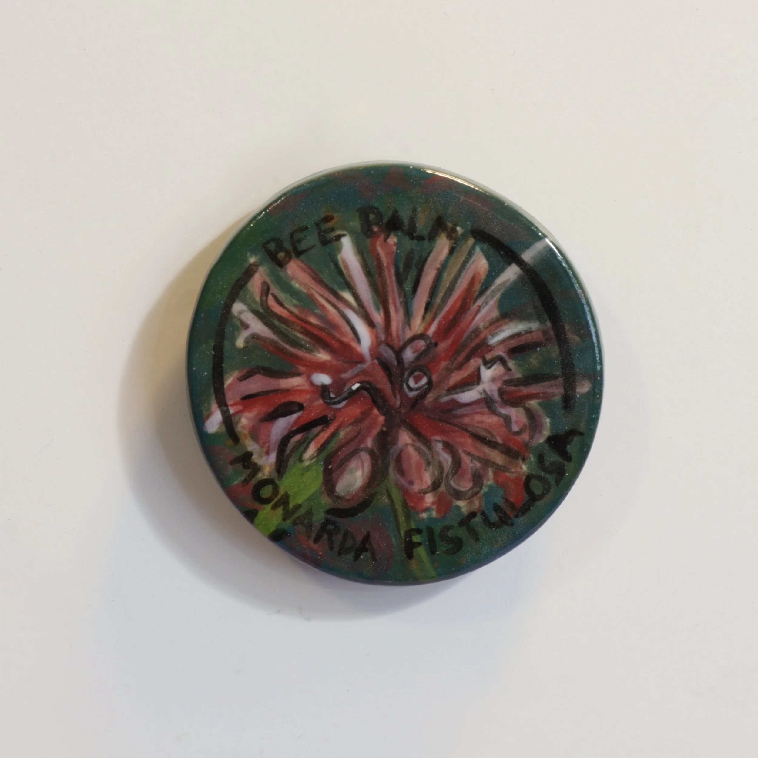 Bee Balm/Monarda Fistulosa – Foraging of Colorado – Magnet