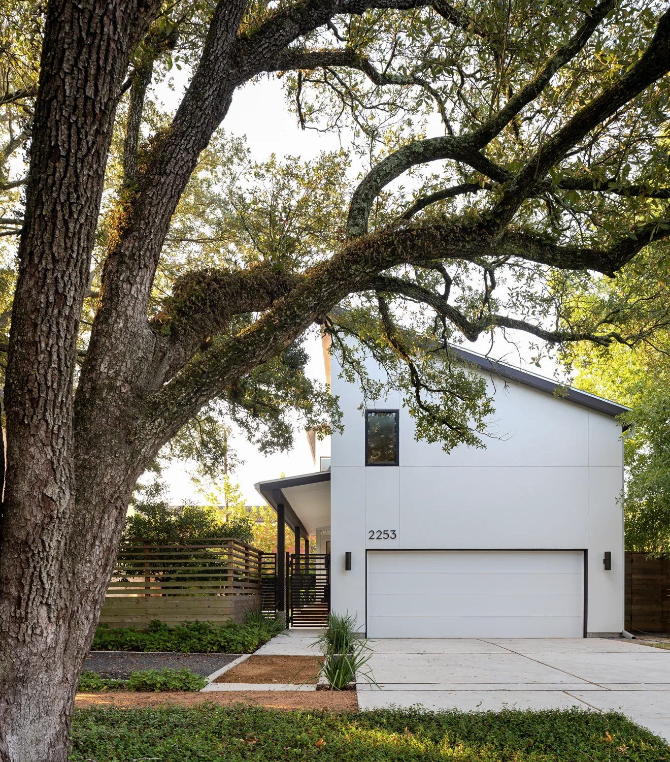 Modern white house with a sloped roof, garage door, framed by a large tree with sprawling branches in the front yard.