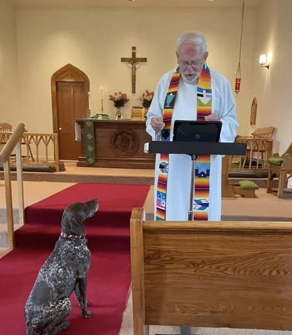 Brown dog with white spots looking up attentively at older male Priest with gray hair who is reading to the congregation.