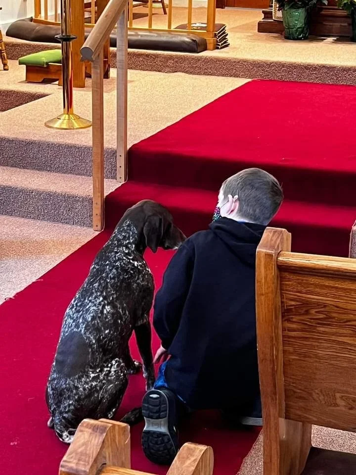 Boy wearing a black jacket kneeling beside brown dog. They are looking at each other thoughtfully