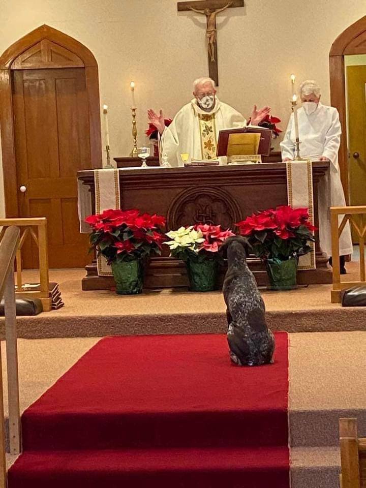 Elderly priest in white vestment standing behind alter, arms raised to bless communion. Brown dog looking on thoughtfully.
