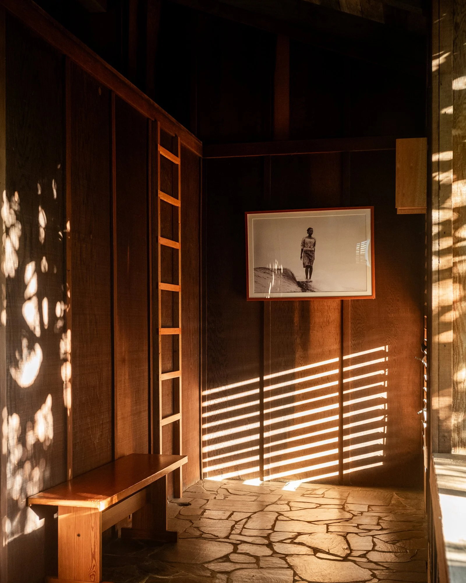 The Quiet Intelligence of Spaces That Breathe