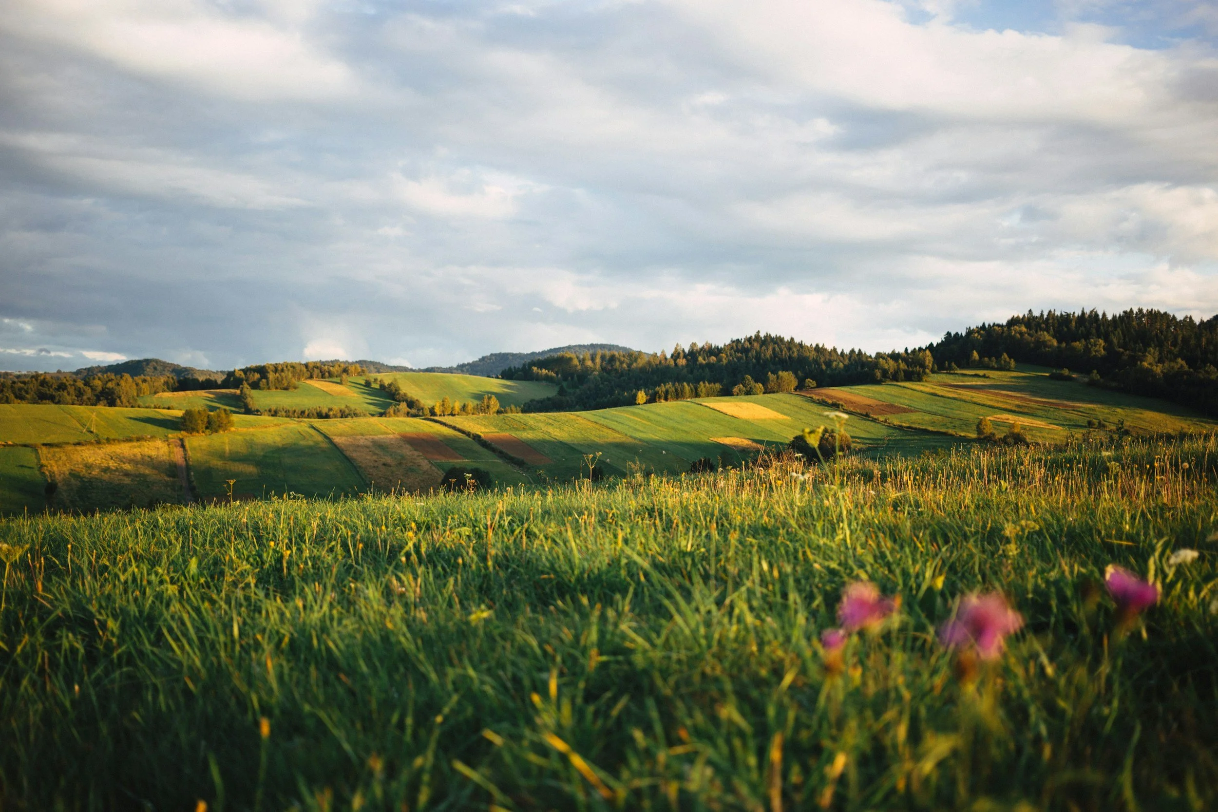 A scenic landscape of rolling green hills with patchwork farmland, trees, and a partly cloudy sky.