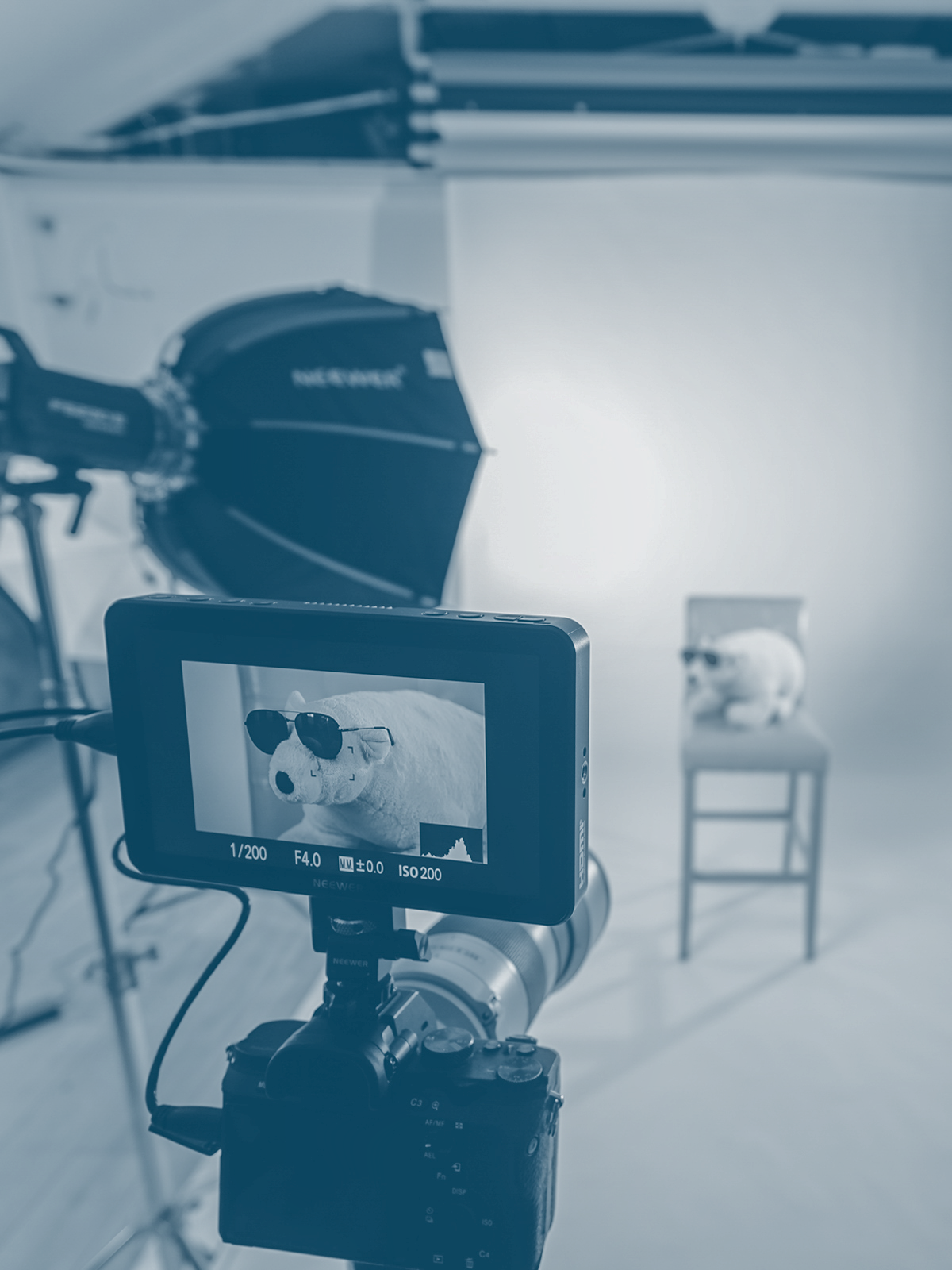 A stuffed animal with sunglasses on display, with a camera recording it; in the background, a table with another stuffed animal.