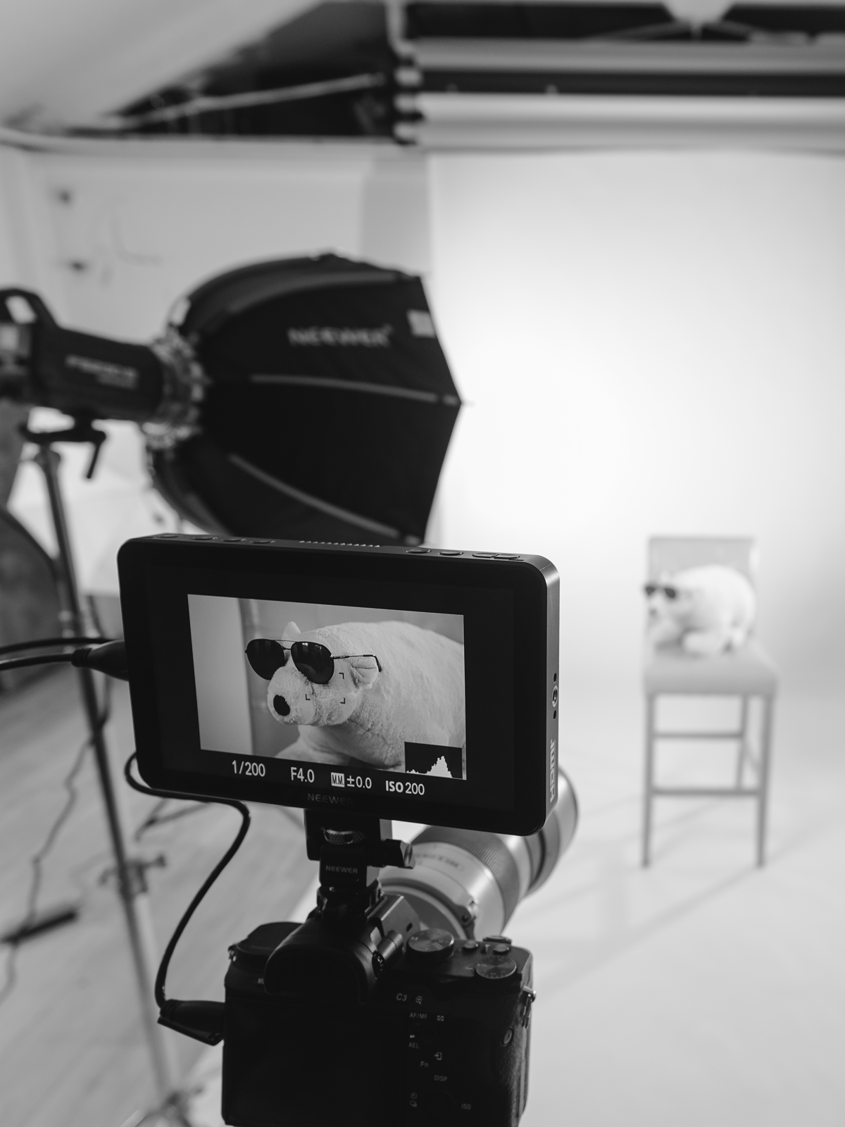 Photograph of a teddy bear wearing sunglasses on a chair, seen through a camera monitor in a photography studio setup with a backdrop and lighting equipment.