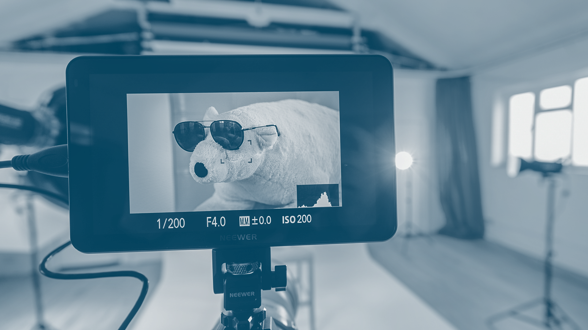 A camera screen shows a stuffed teddy bear wearing sunglasses, with the camera settings visible at the bottom of the screen.