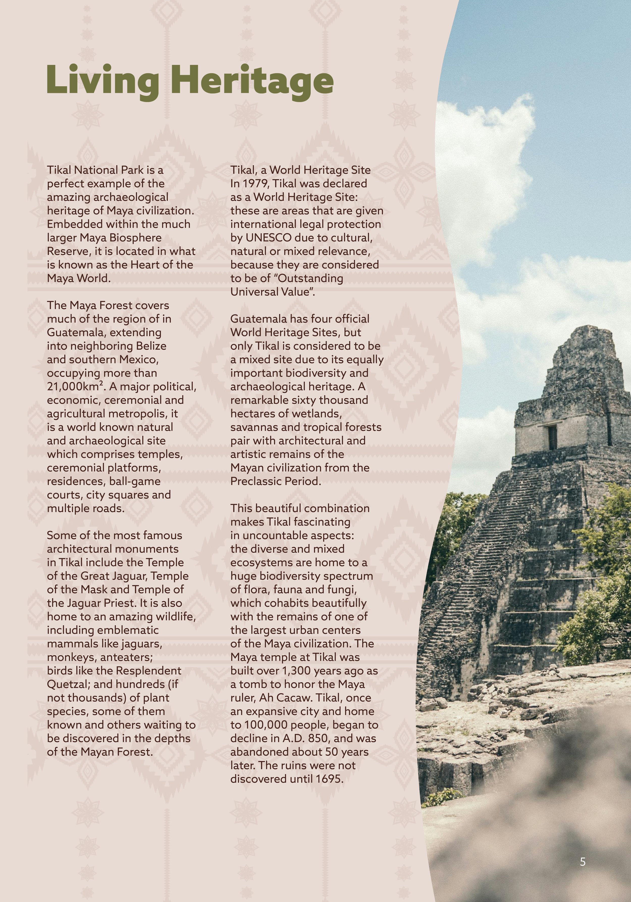 Editorial Infographic Layout7.png