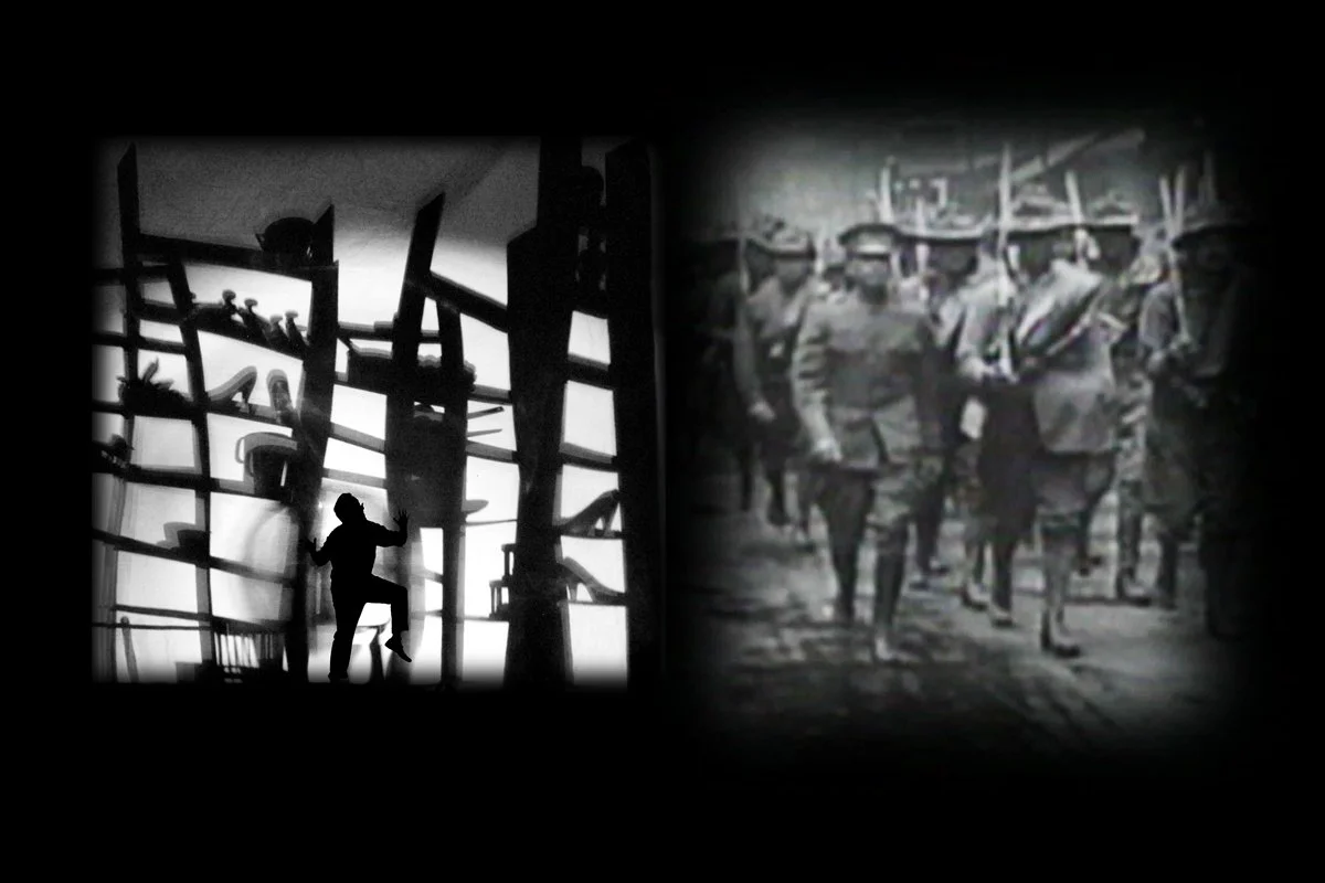 Buster in Shelves.jpg