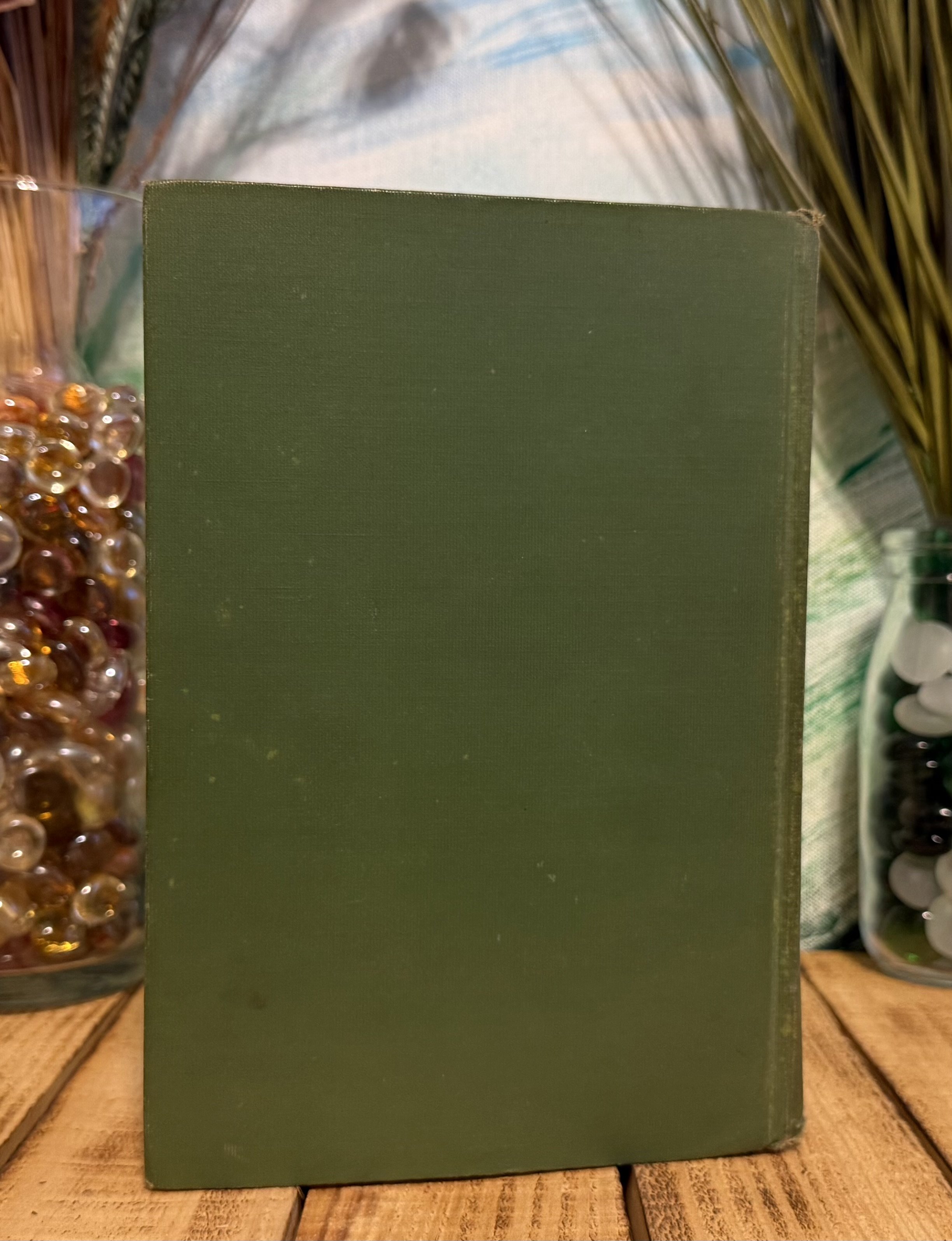 IMG_2109.jpeg