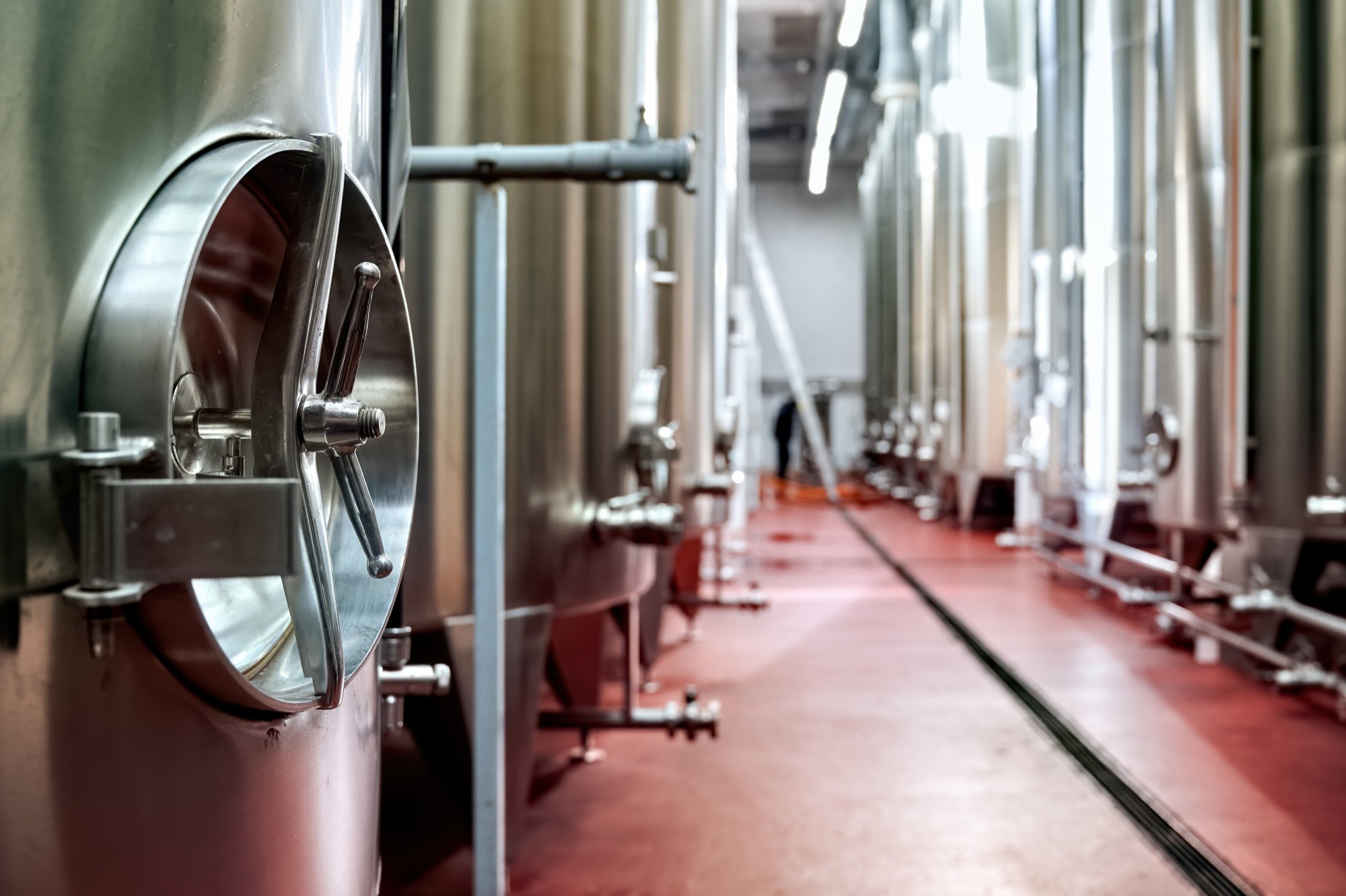 Industrial brewery with large stainless steel fermentation tanks in a row.