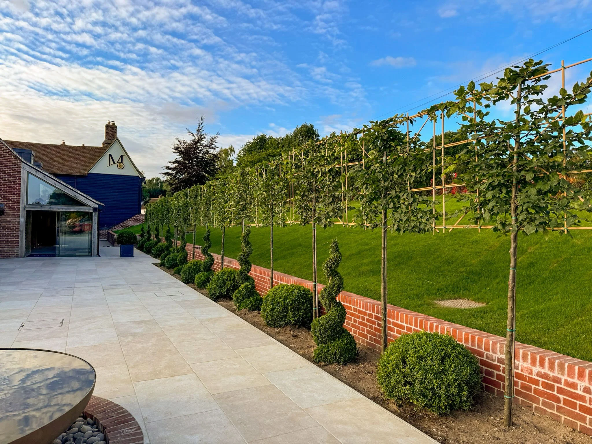Screening Trees for Garden Privacy in Essex & Suffolk — Plants For Gardens