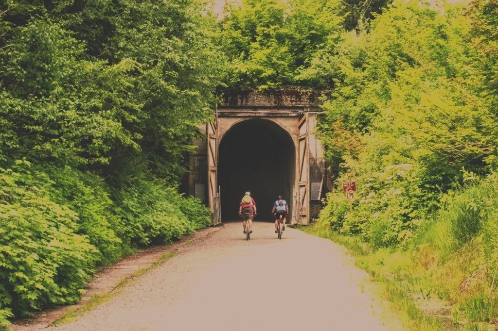 Two cyclists riding toward a dark tunnel surrounded by green trees and plants.