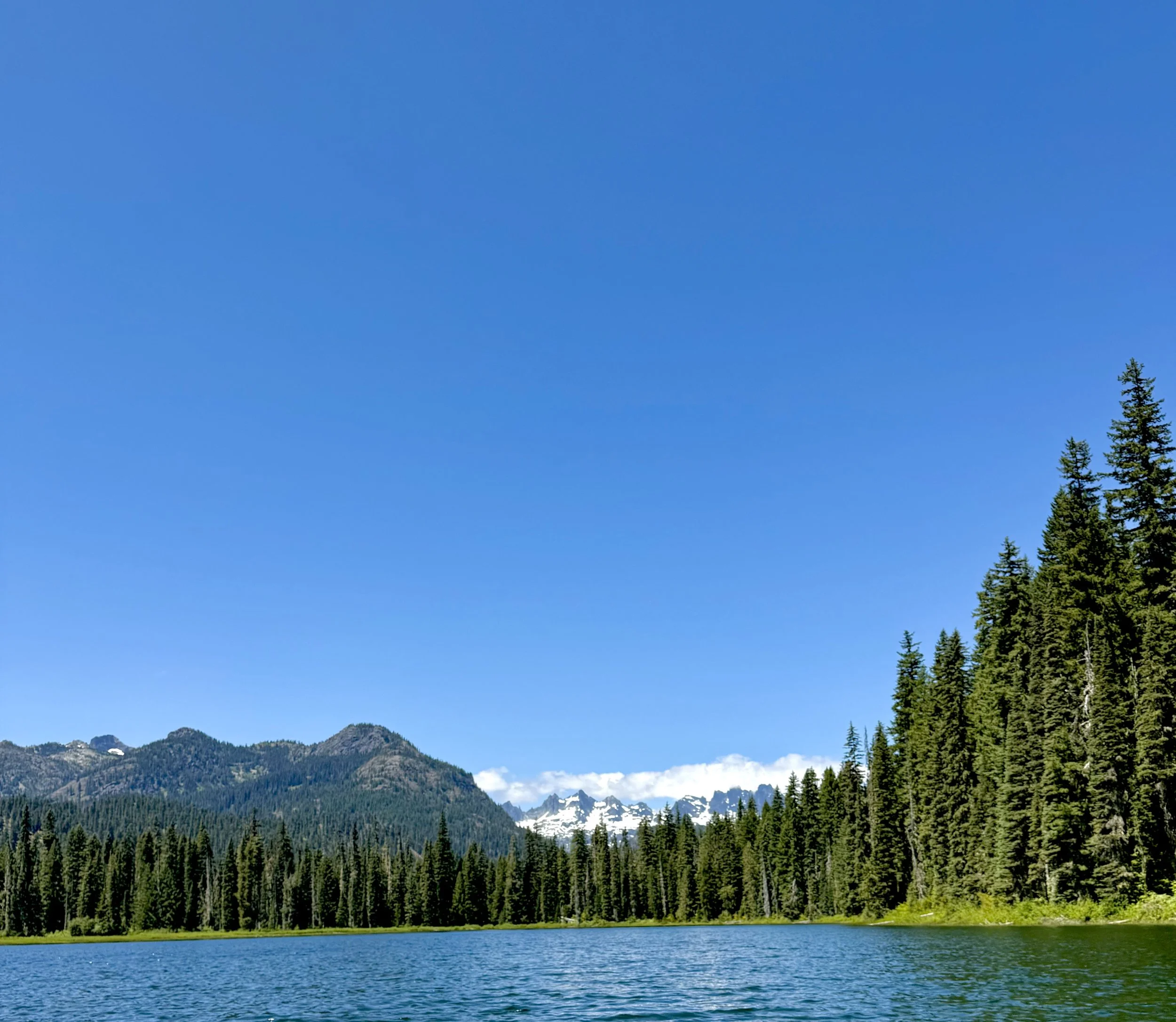 Scenic view of a calm lake surrounded by dense evergreen trees and mountains with snow-capped peaks under a clear blue sky. Cooper Lake