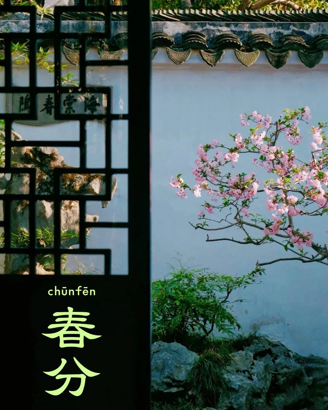 Today is 春分 chūnfēn, the spring equinox. At this midpoint of spring in the Chinese lunisolar calendar, day and night are of equal length, marking a time of balance and renewal. Traditionally, this solar term is celebrated with flying kites, eating sp