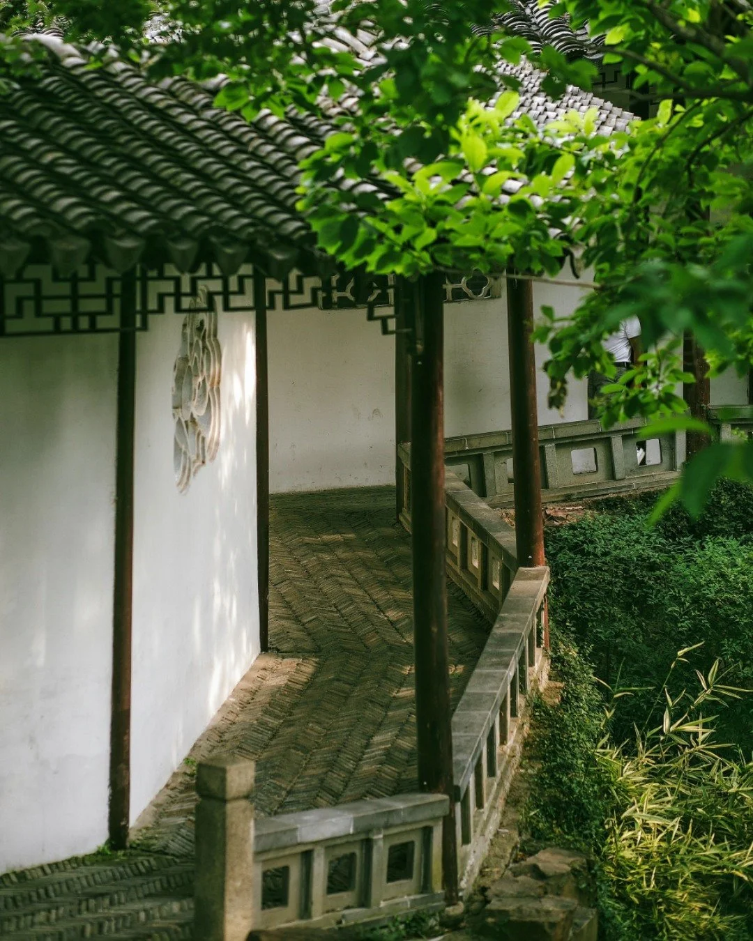 The art of the Chinese corridor.

Captured by 微光、, 林深见鹿, shota哥, 秋实丨宋与宋造园社, 一心贤, 肥小猫, 高娅杰GaoYaJie📸 on 小红书

#chinamoderne #newchina
