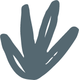 Simple illustration of a sprouting plant or leaf with three elongated leaves.