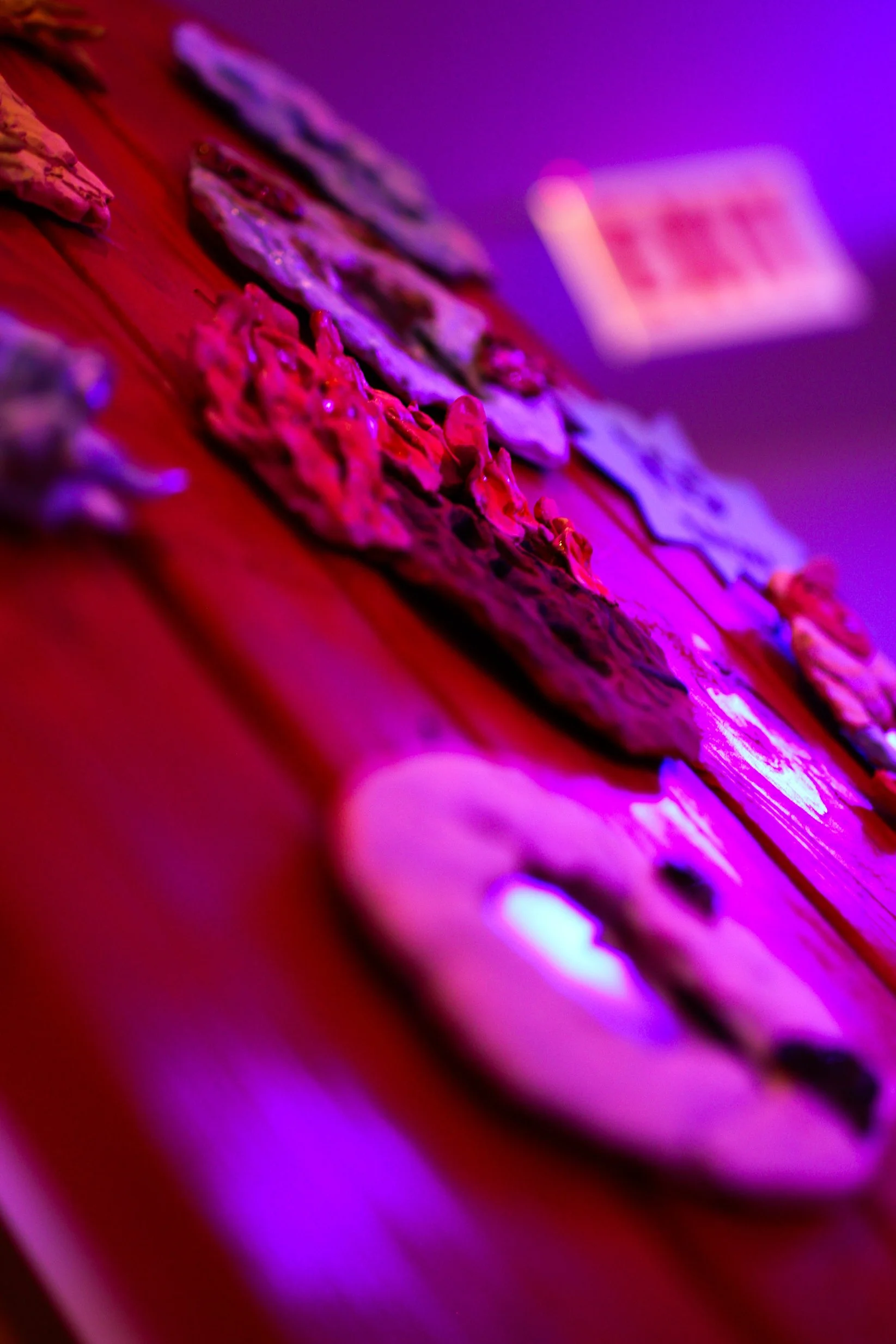 JMC + UZ Tanthoyz - Edited-25.jpg