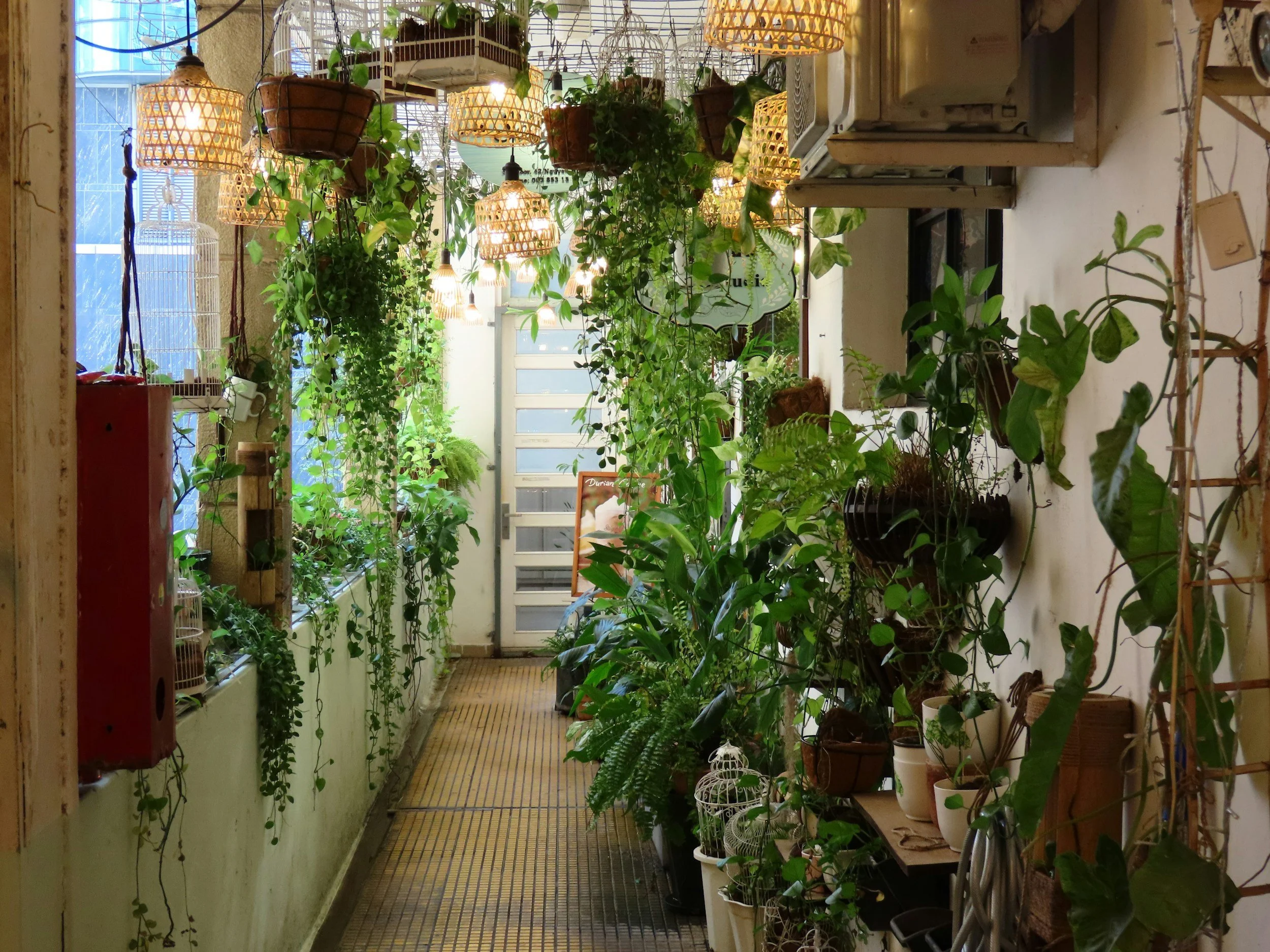 Indoor garden corridor filled with hanging and potted plants, illuminated by hanging wicker lamps, with a glass door at the end.