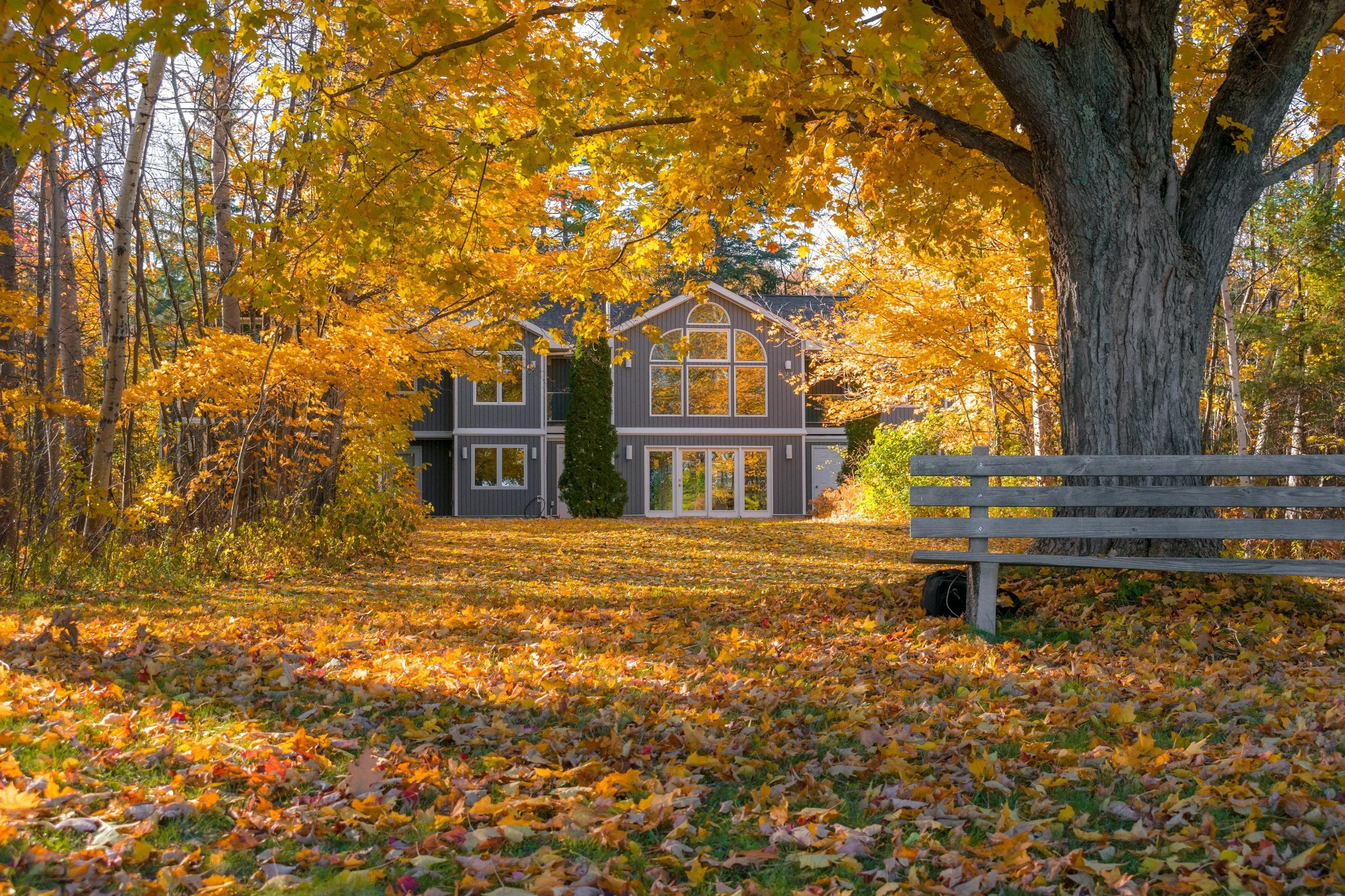 A house with gray siding and large windows, surrounded by autumn trees with yellow and orange leaves, and fallen leaves on the ground, with a gray wooden bench to the right.