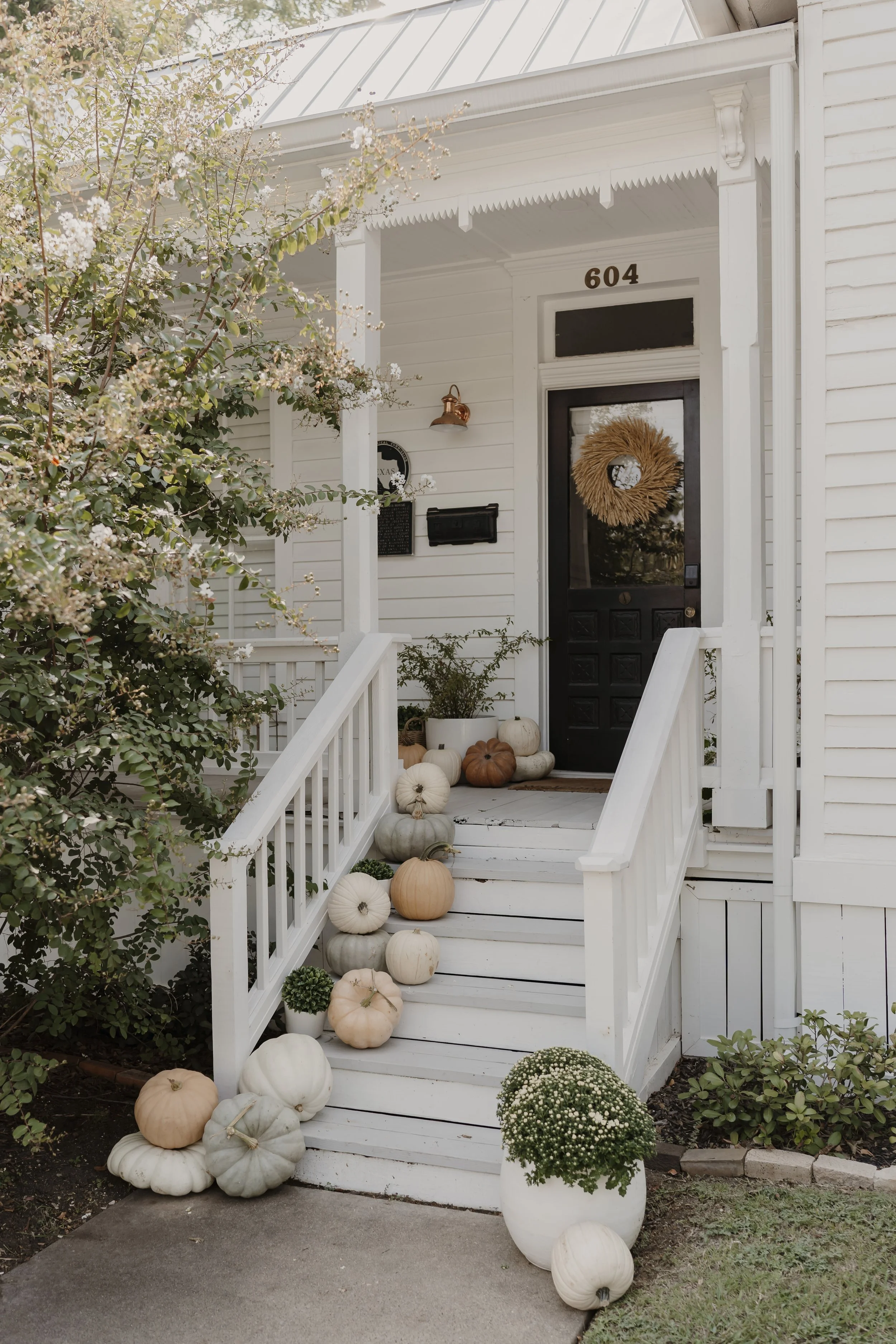 White house with black front door, decorated with fall pumpkins and gourds on steps and in pots, with white flowers in the background.