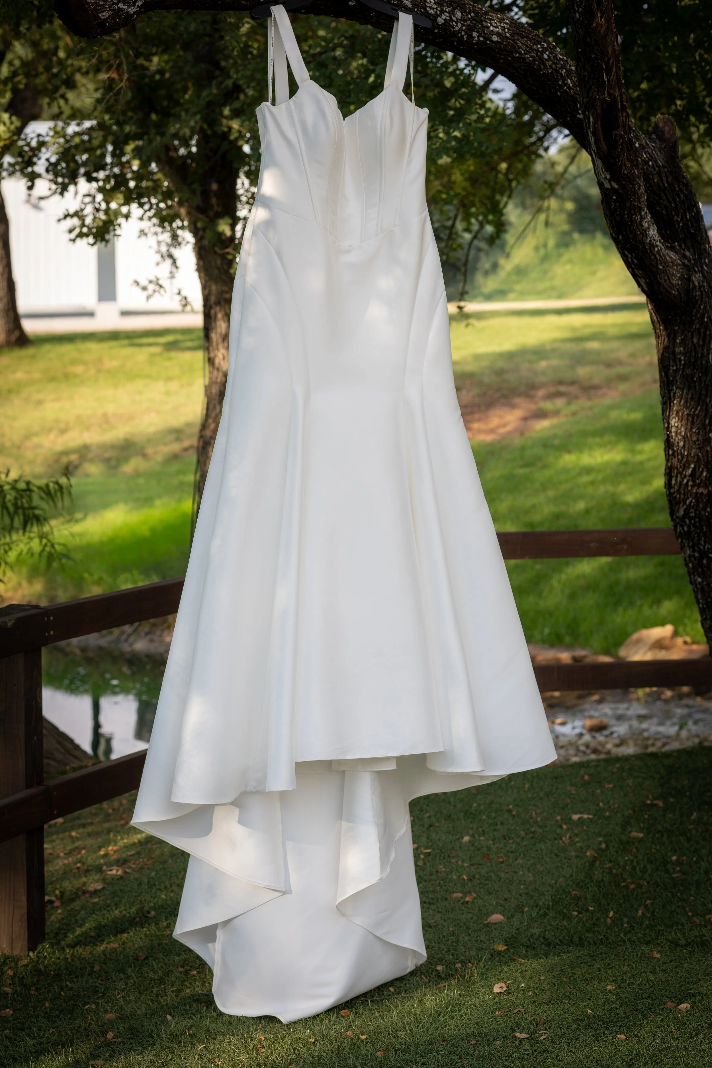 A white wedding dress hanging from a tree branch outdoors with grassy ground and trees in the background.