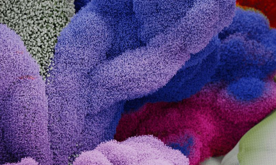 Blog Post Title Three