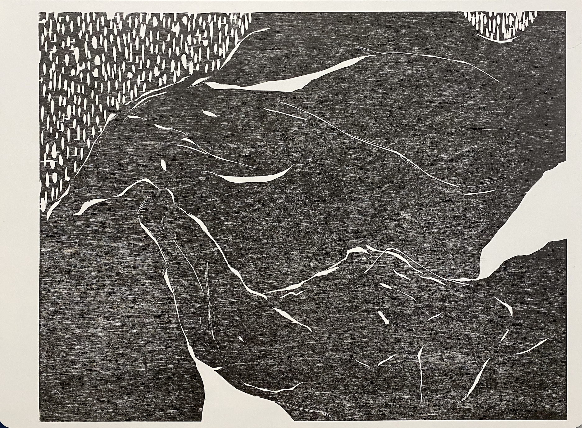 Artwork by BFA accepted applicant