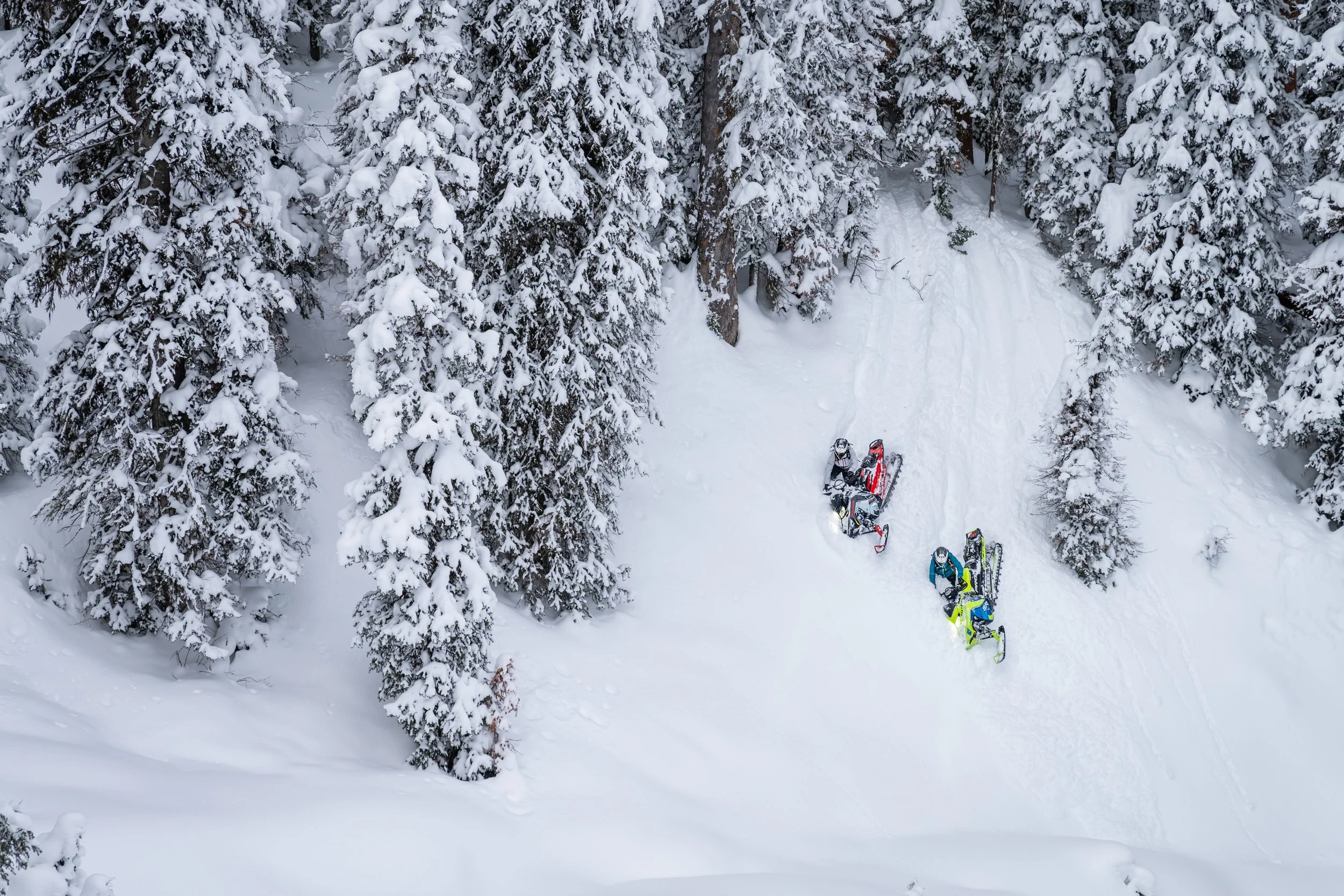 Group of snowmobilers riding through a snowy forest with snow-covered trees.
