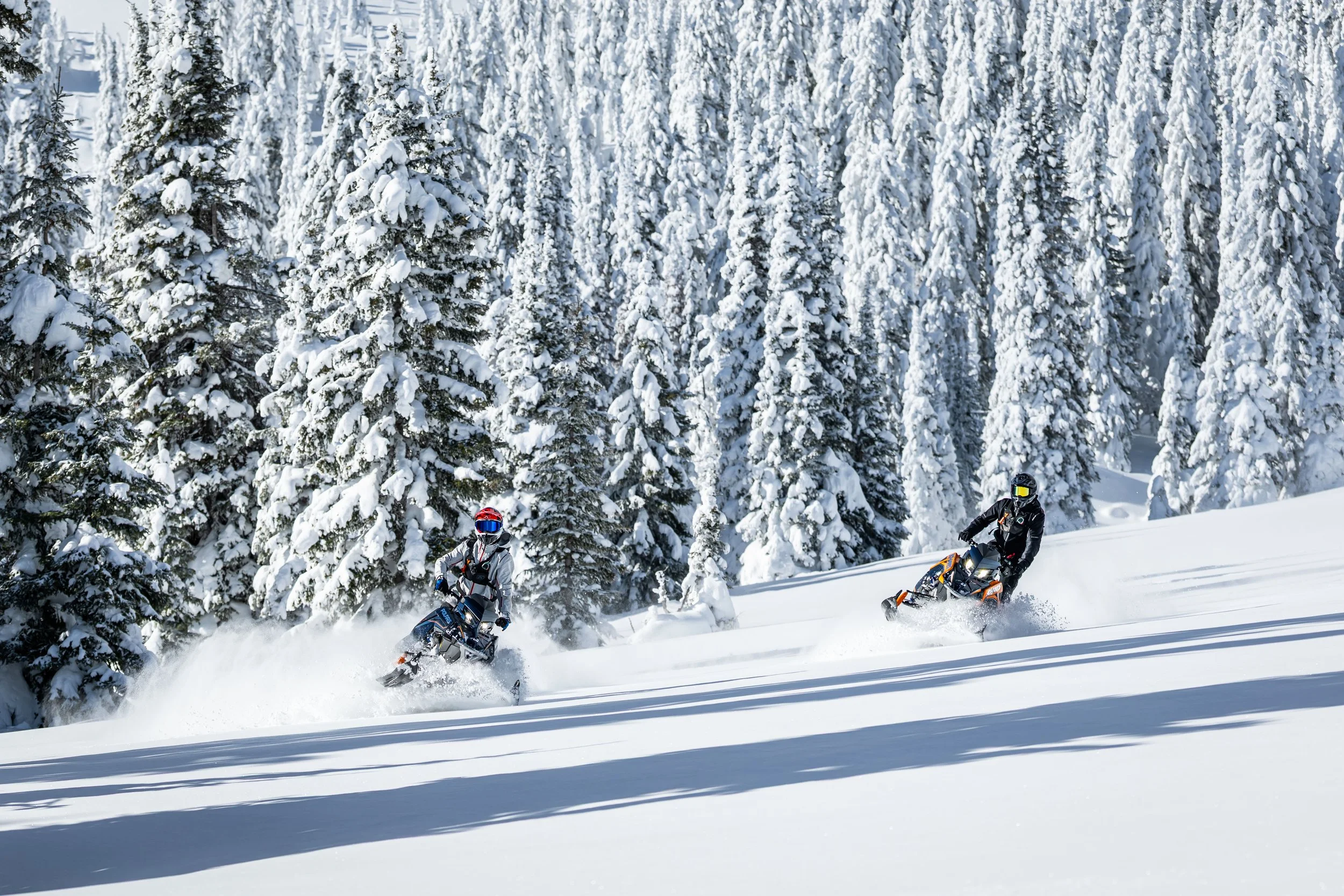 Two people riding snow bikes through a snowy forest of tall, snow-covered evergreen trees.