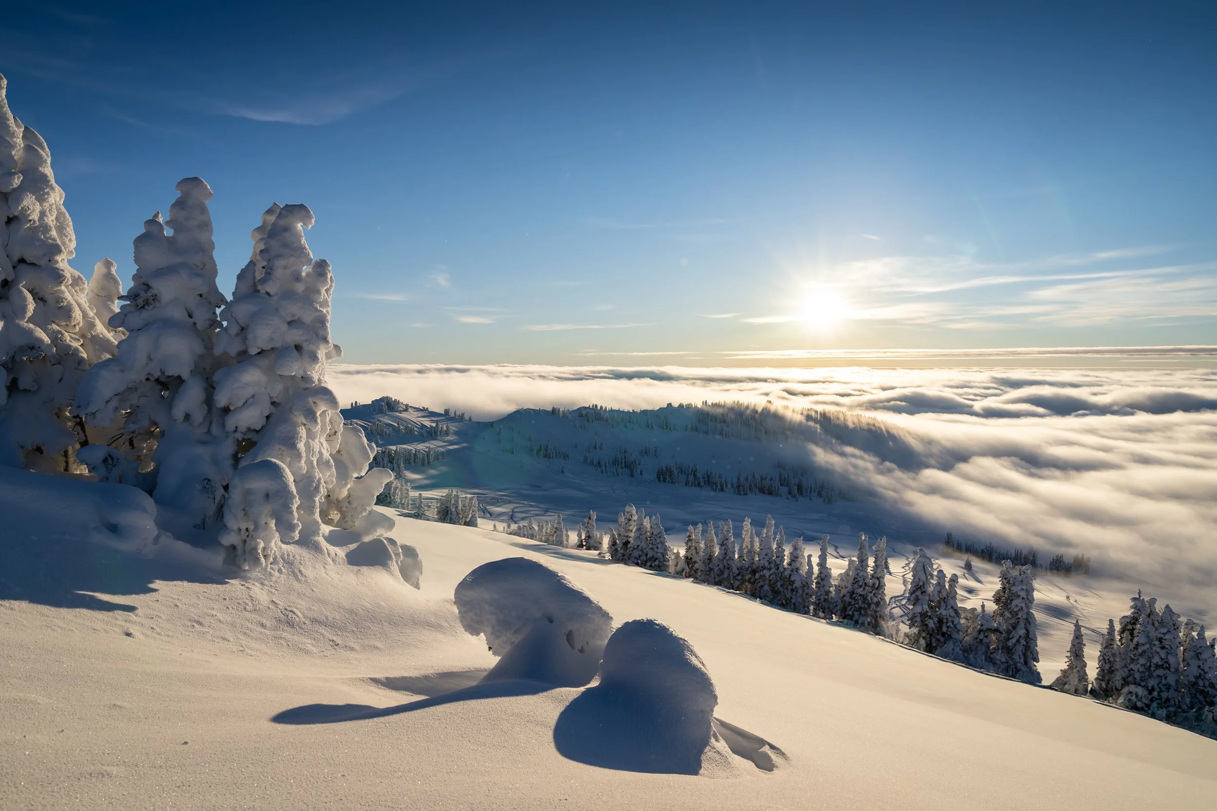 Snow-covered trees and landscape under a clear blue sky with the sun shining, during a winter scene.