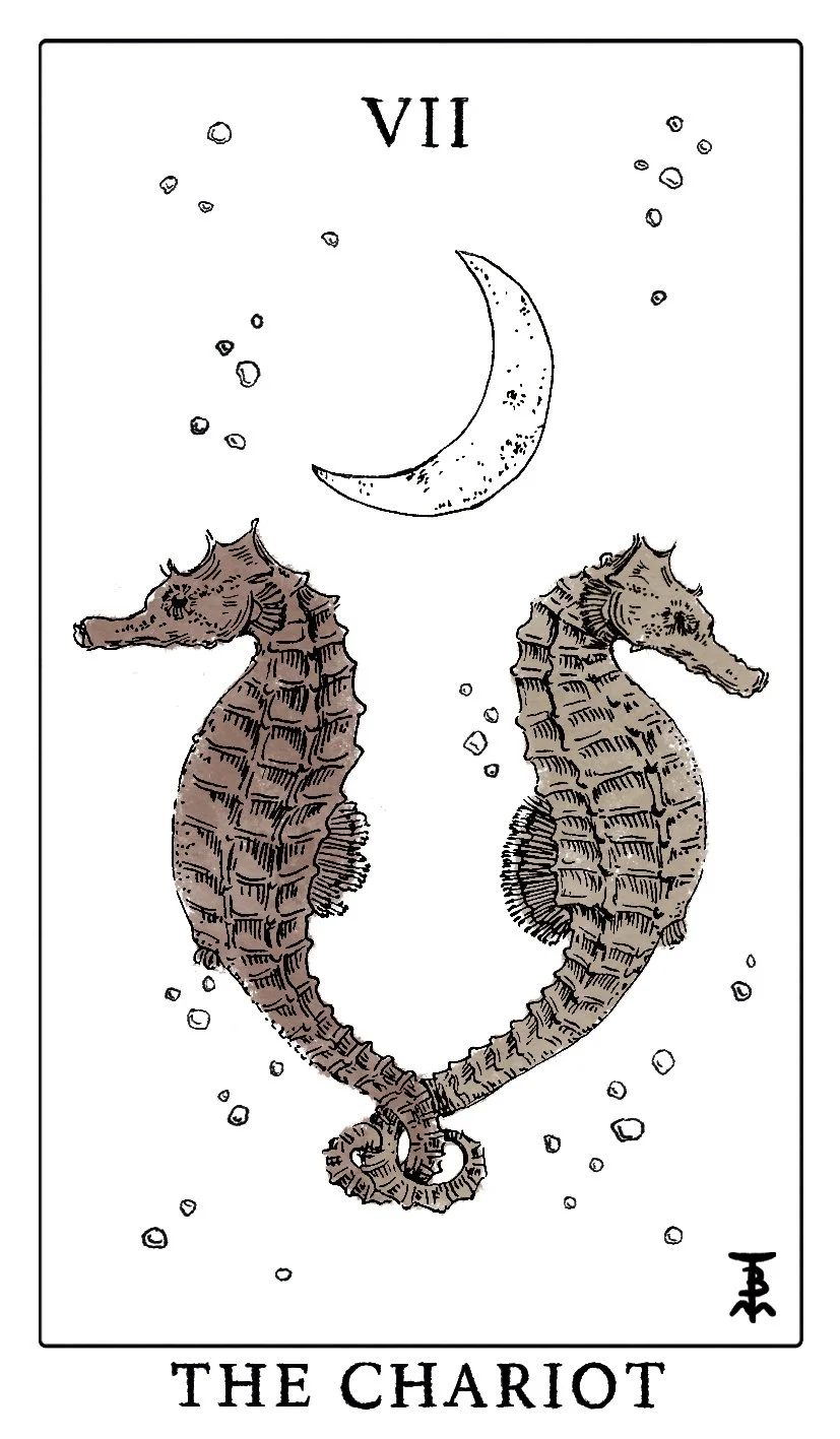 THE CHAROIT VII_1.jpg