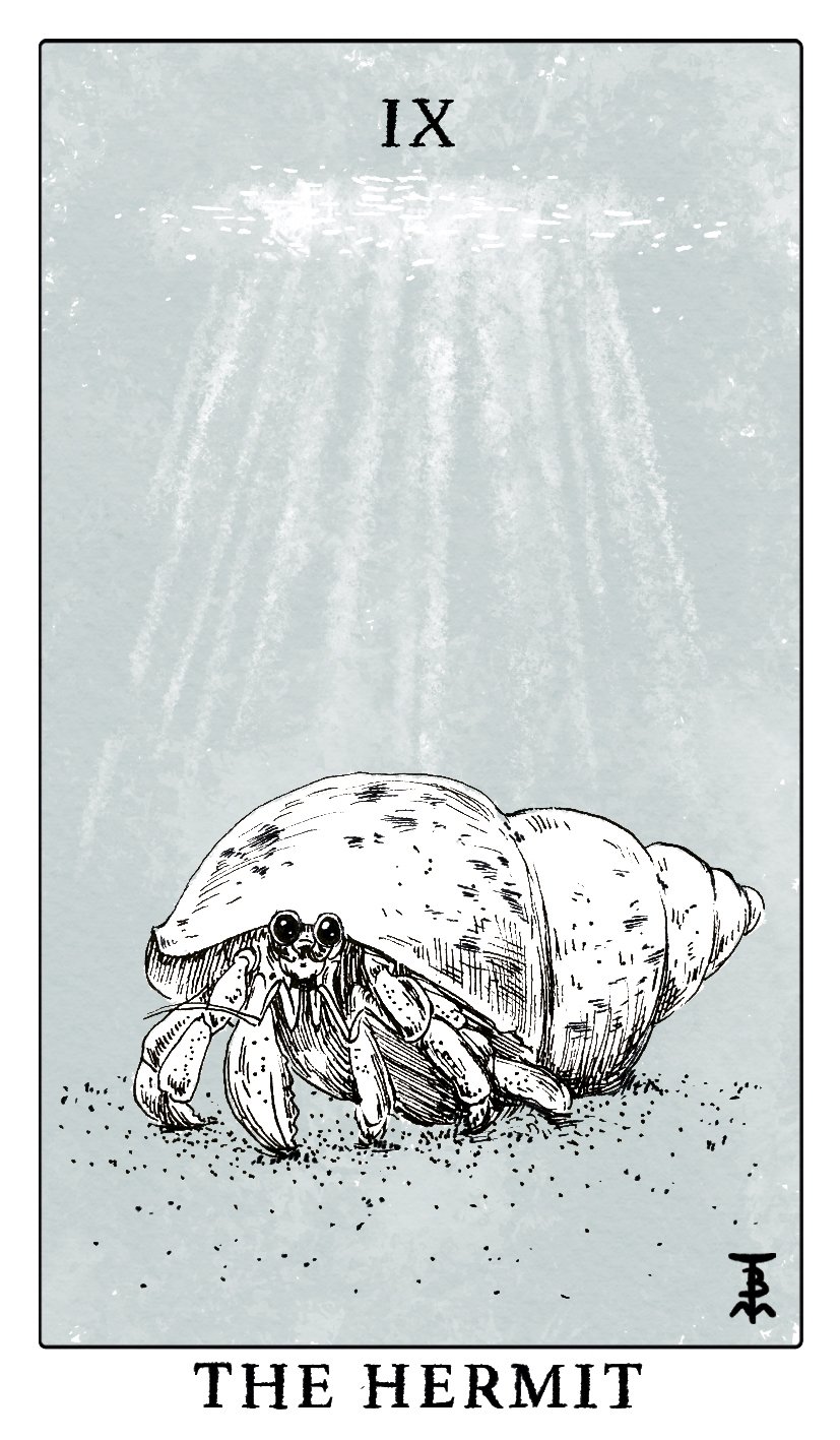 THE HERMIT IX.jpg