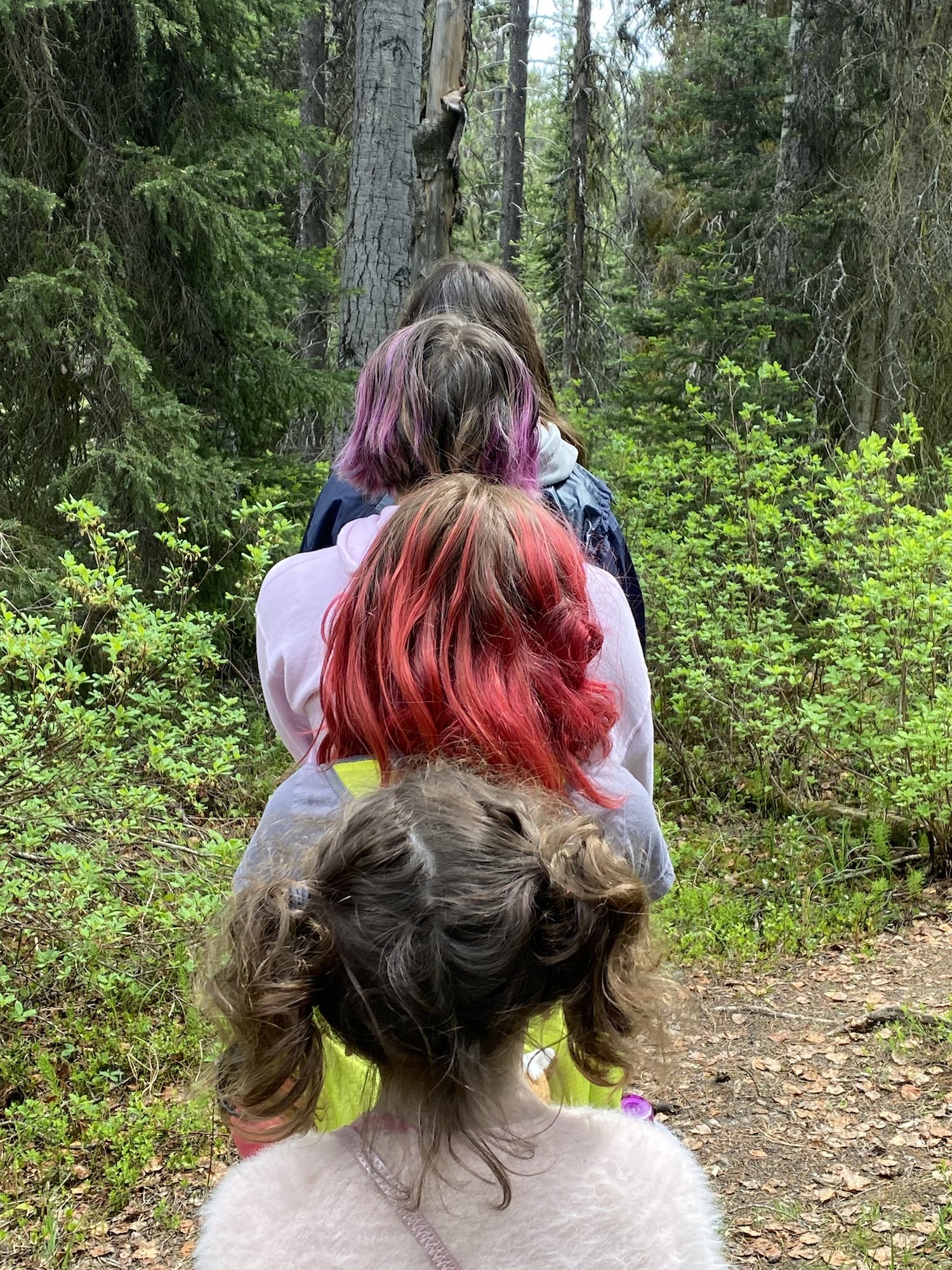 Jasper National Park, Canada, June 2023