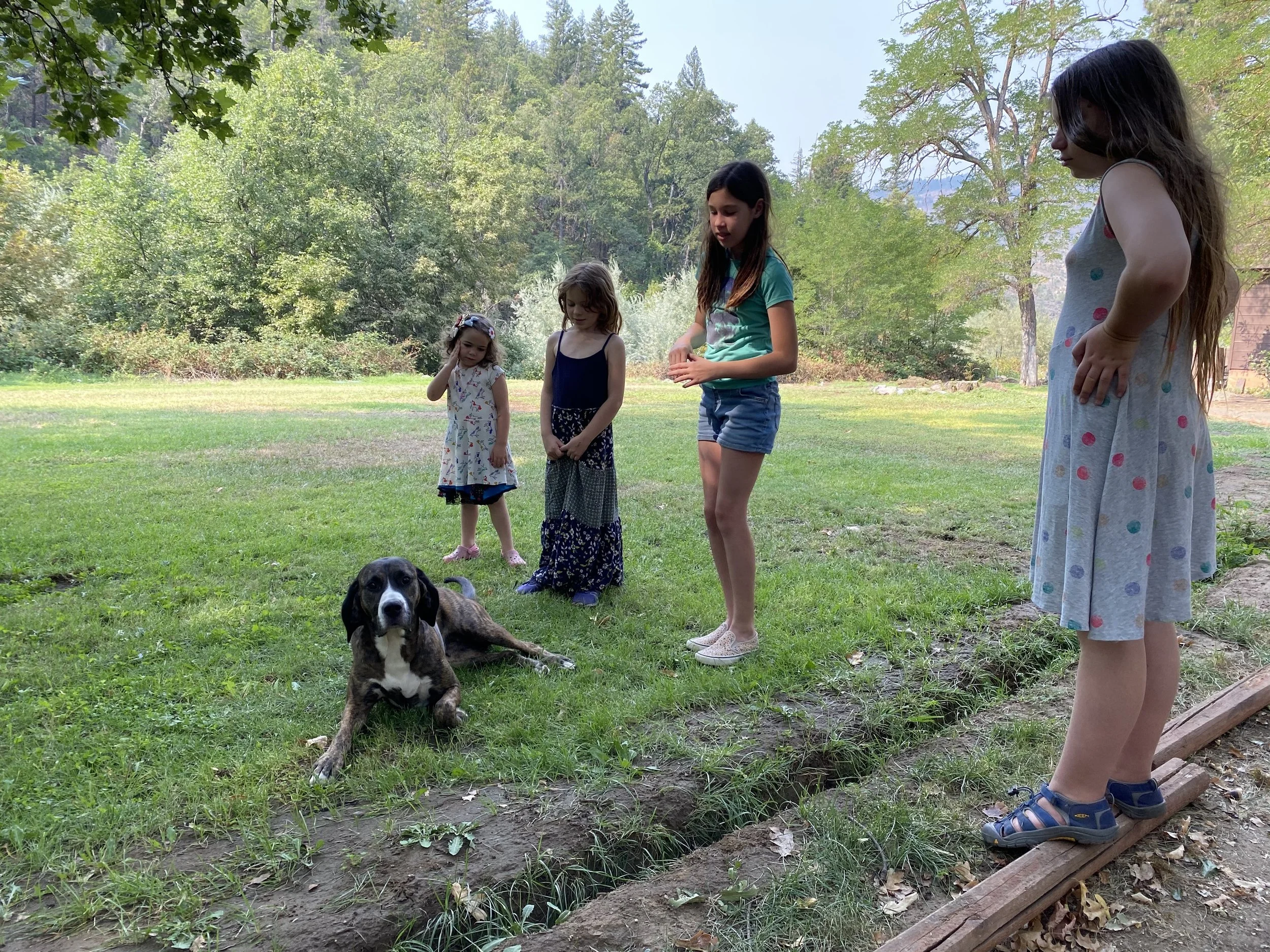 Siskiyou County, CA, September 2020