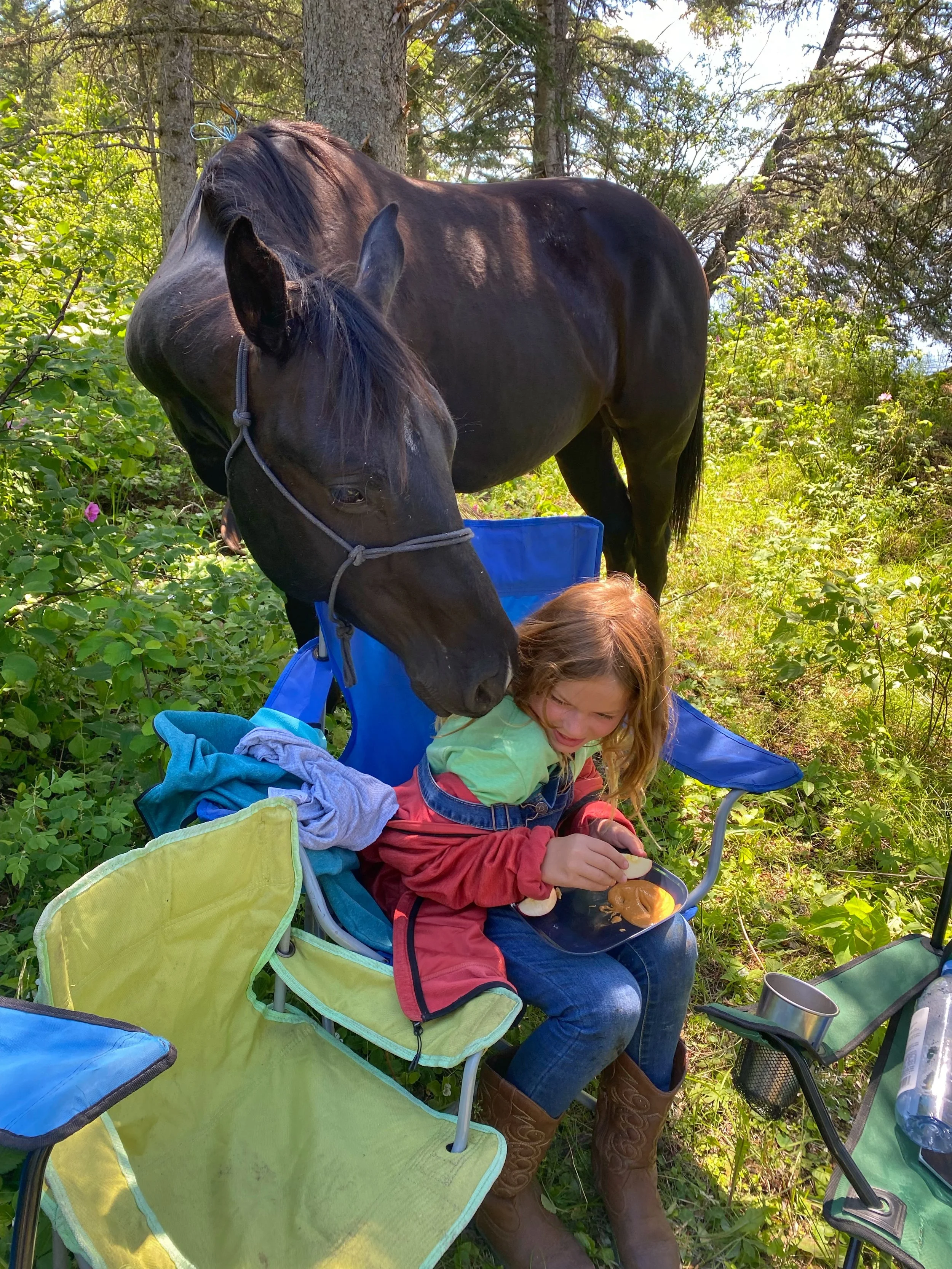 Harassing Gemma for food, Prince Albert National Park, Canada, June 2022