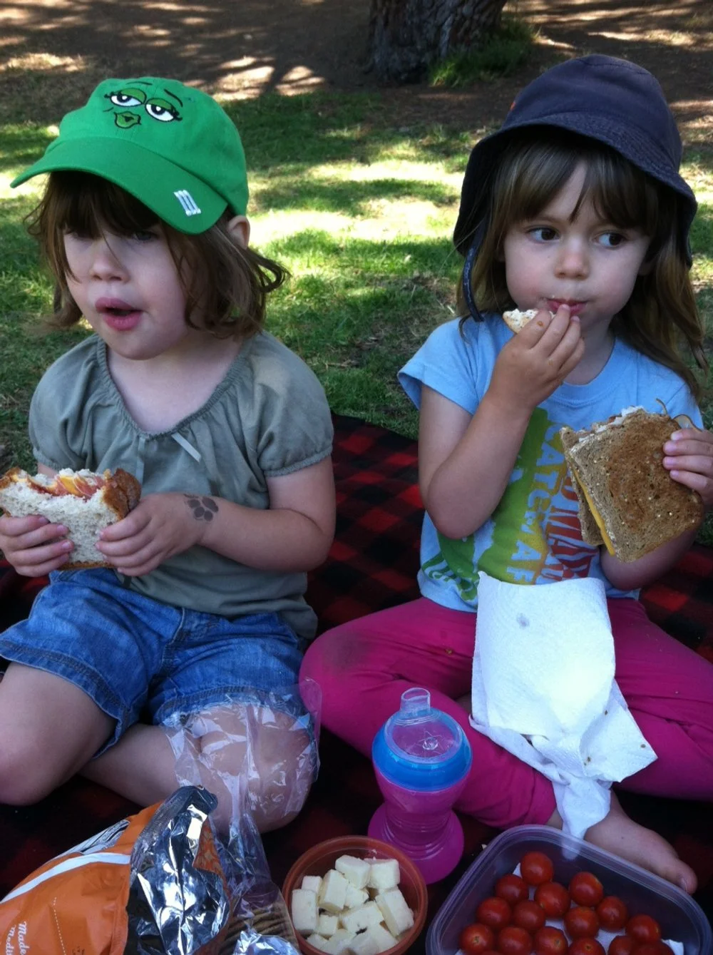 Beata & Elowen having a picnic at the park, June 2012