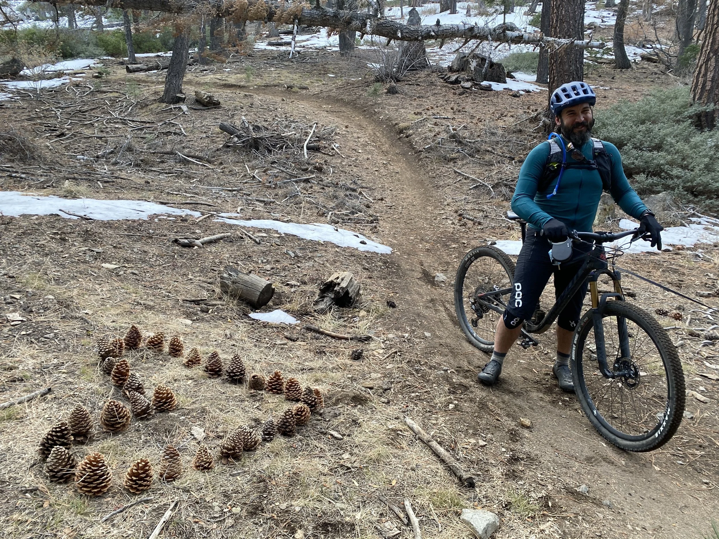 Big Bear Lake, Thanksgiving 2020