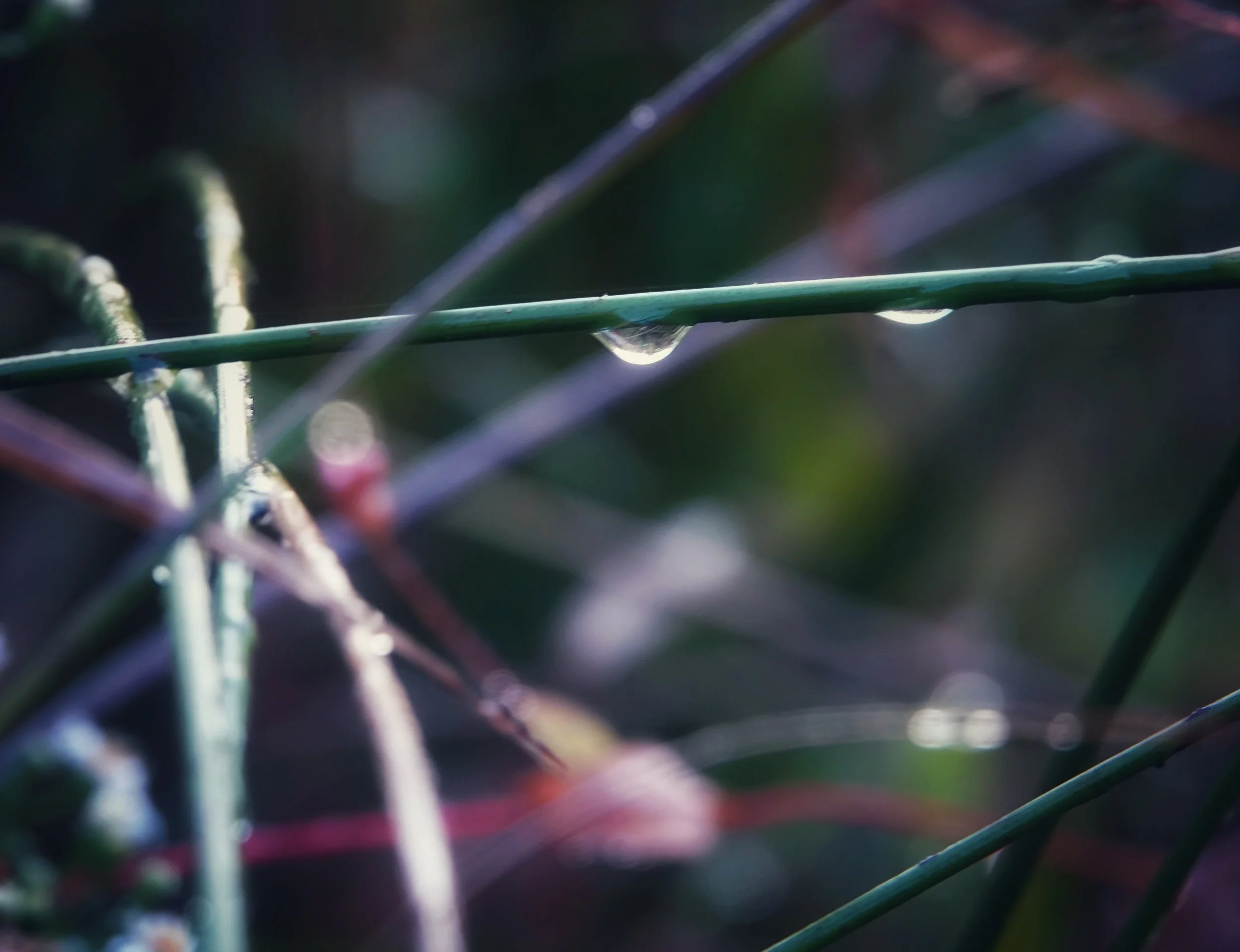 Leadership Pause: How do I maintain a calm presence?