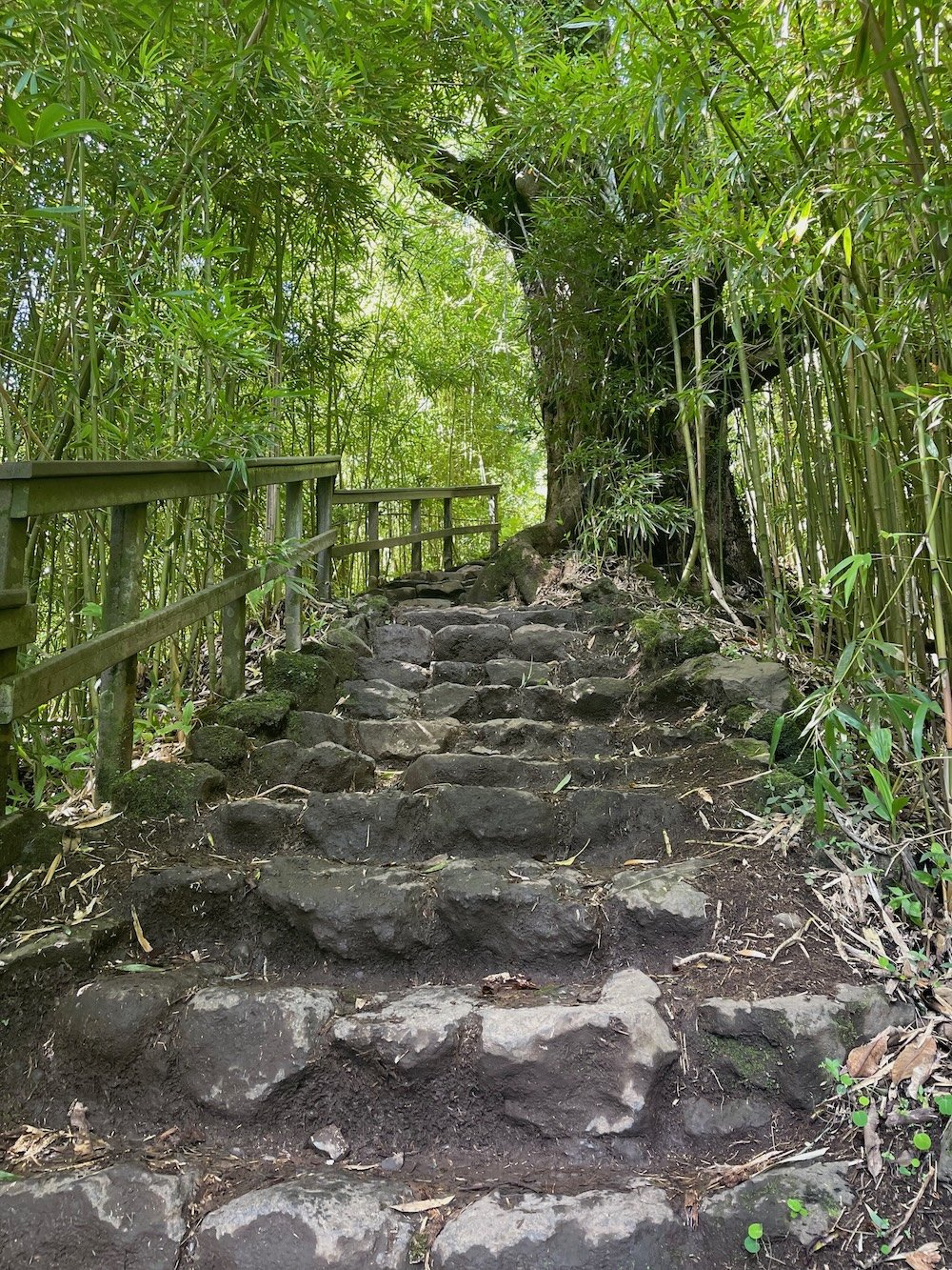 Leadership Pause: How do People Feel After Spending Time with Me?